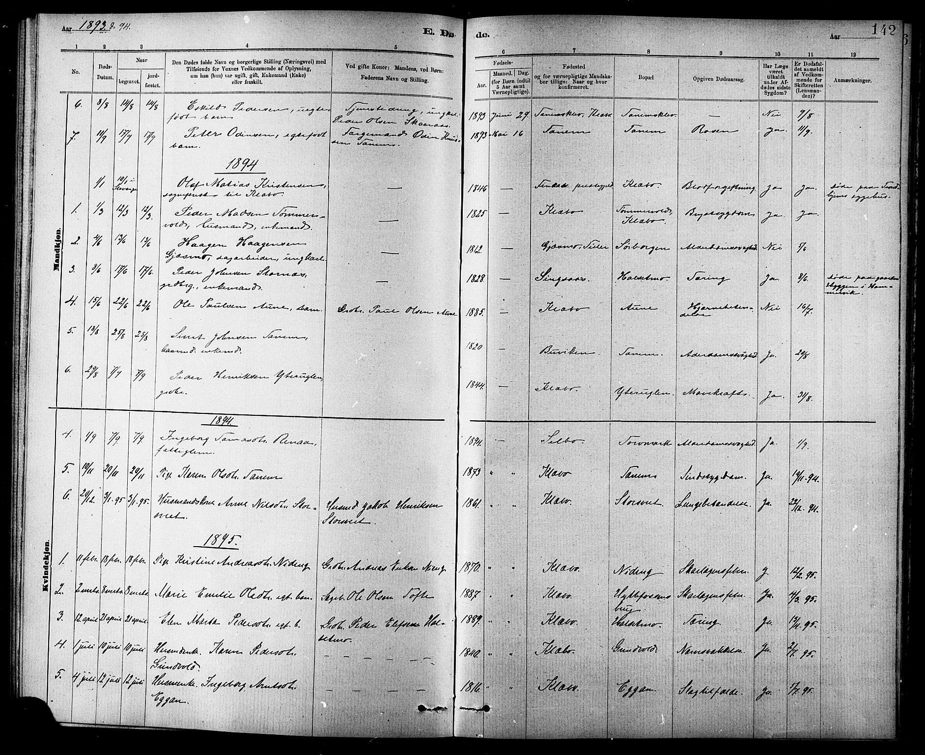 Ministerialprotokoller, klokkerbøker og fødselsregistre - Sør-Trøndelag, AV/SAT-A-1456/618/L0452: Klokkerbok nr. 618C03, 1884-1906, s. 142