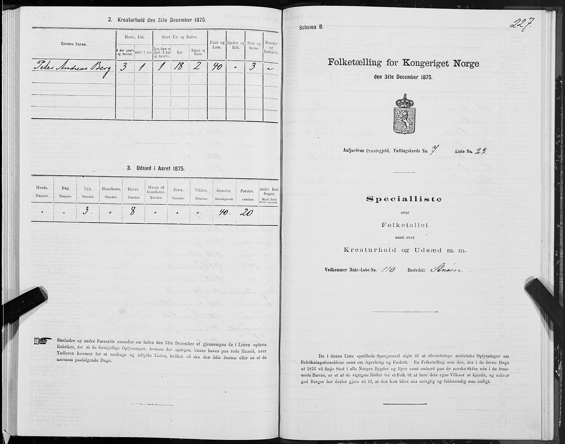 SAT, Folketelling 1875 for 1630P Aafjorden prestegjeld, 1875, s. 3227