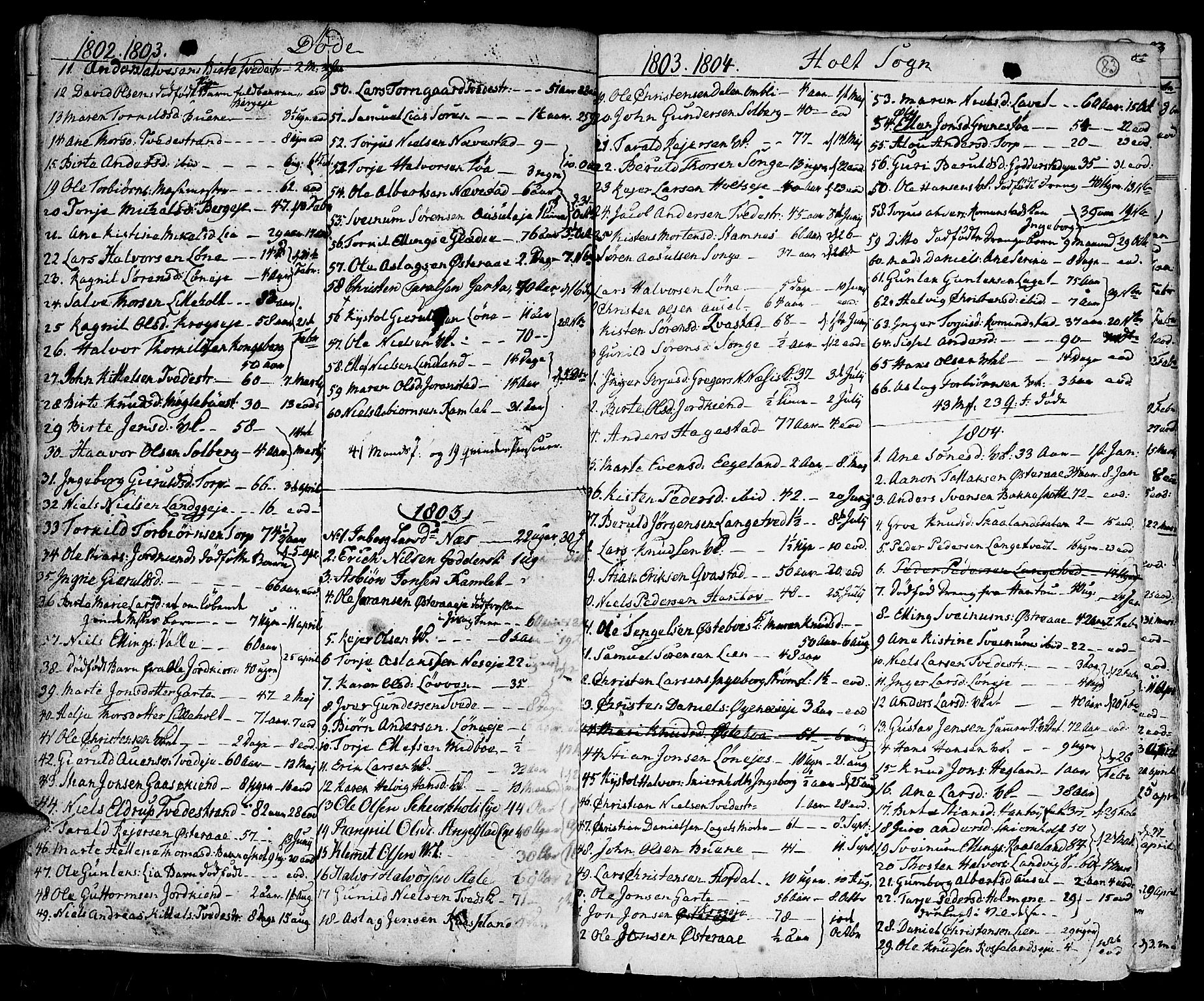 Holt sokneprestkontor, AV/SAK-1111-0021/F/Fa/L0004: Ministerialbok nr. A 4, 1799-1813, s. 83
