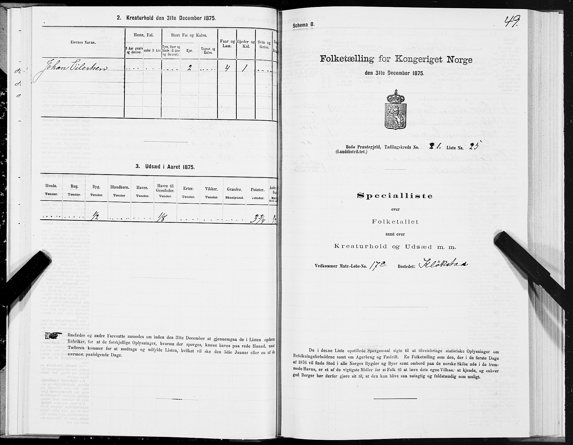 SAT, Folketelling 1875 for 1843L Bodø prestegjeld, Bodø landsokn, 1875, s. 1049