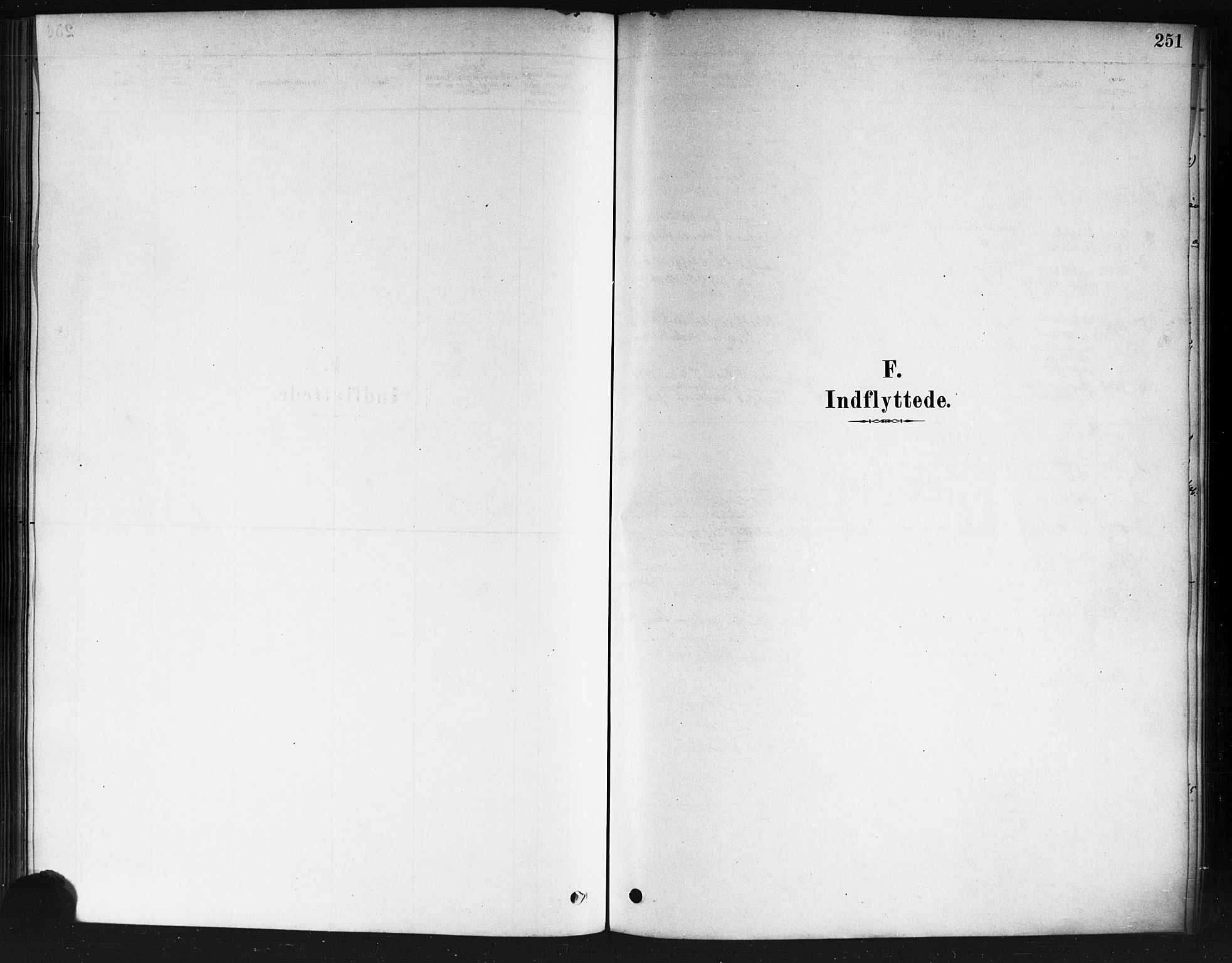 Nedre Eiker kirkebøker, SAKO/A-612/F/Fa/L0002: Ministerialbok nr. 2, 1878-1885, s. 251