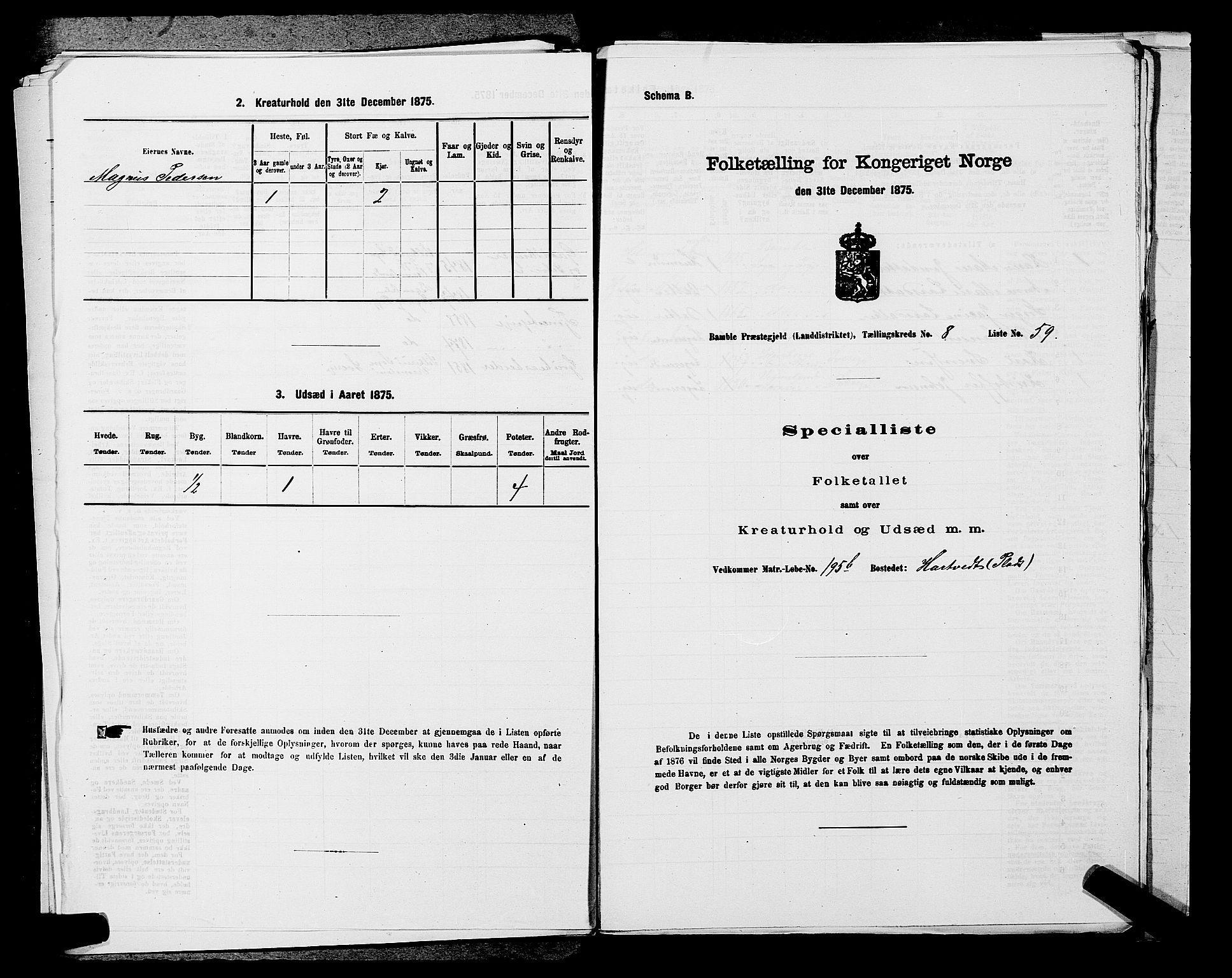 SAKO, Folketelling 1875 for 0814L Bamble prestegjeld, Bamble sokn, 1875, s. 1161