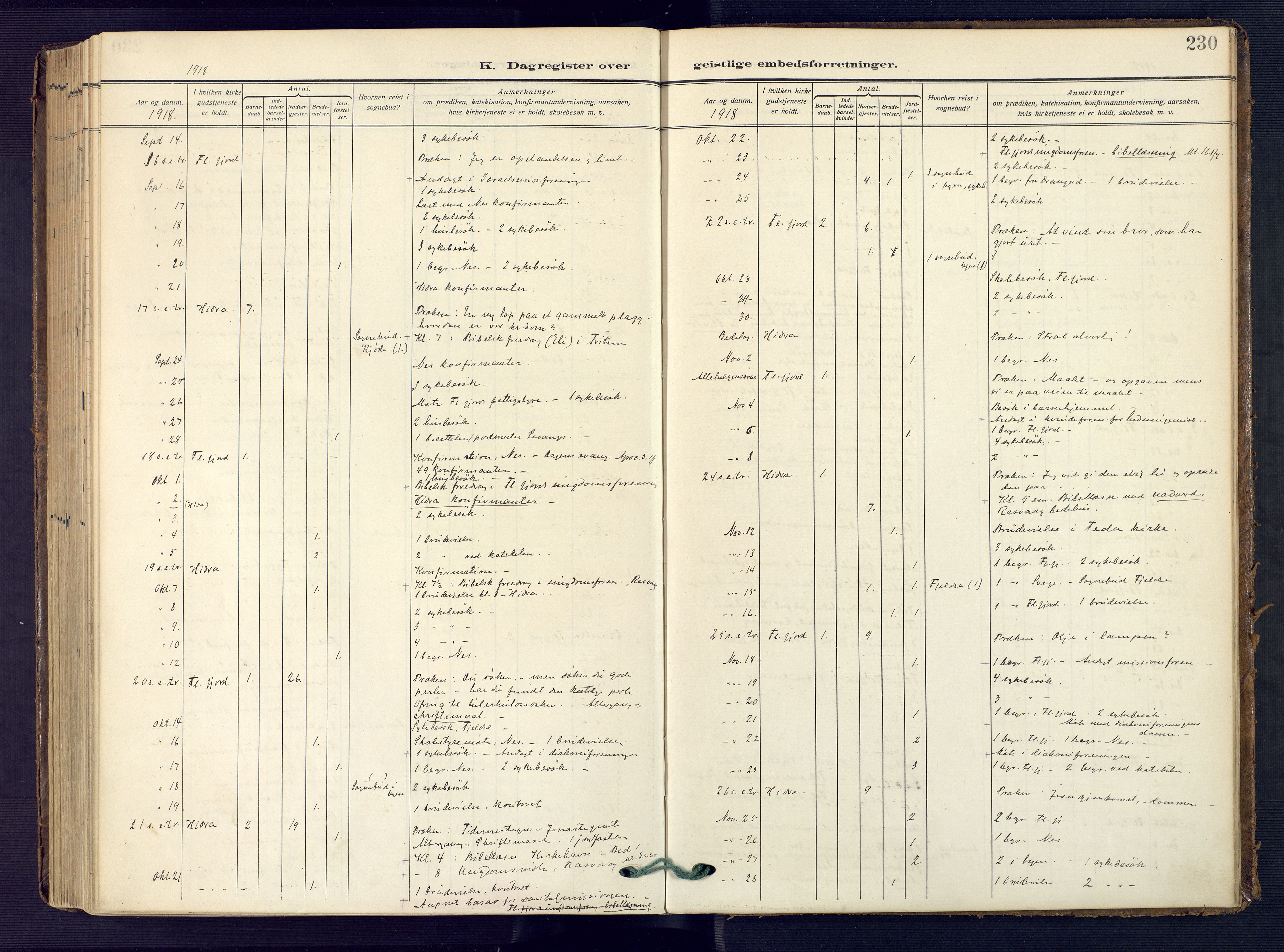 Flekkefjord sokneprestkontor, AV/SAK-1111-0012/F/Fa/Faa/L0003: Ministerialbok nr. A 3, 1913-1928, s. 230