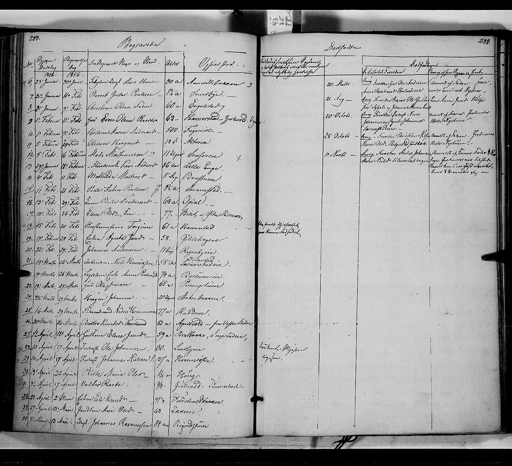 Østre Toten prestekontor, AV/SAH-PREST-104/H/Ha/Haa/L0003: Ministerialbok nr. 3, 1848-1856, s. 233