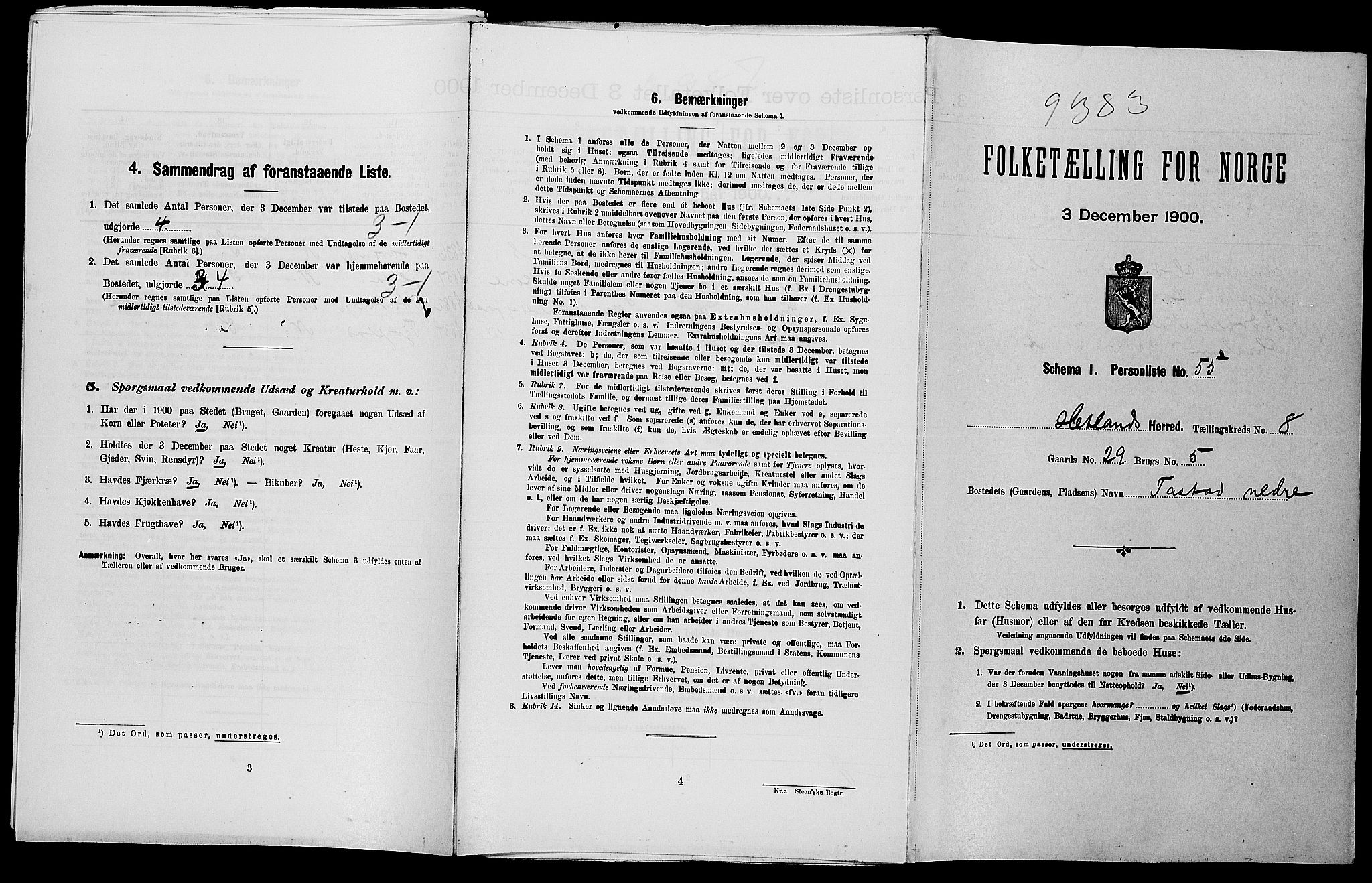 SAST, Folketelling 1900 for 1126 Hetland herred, 1900, s. 1199