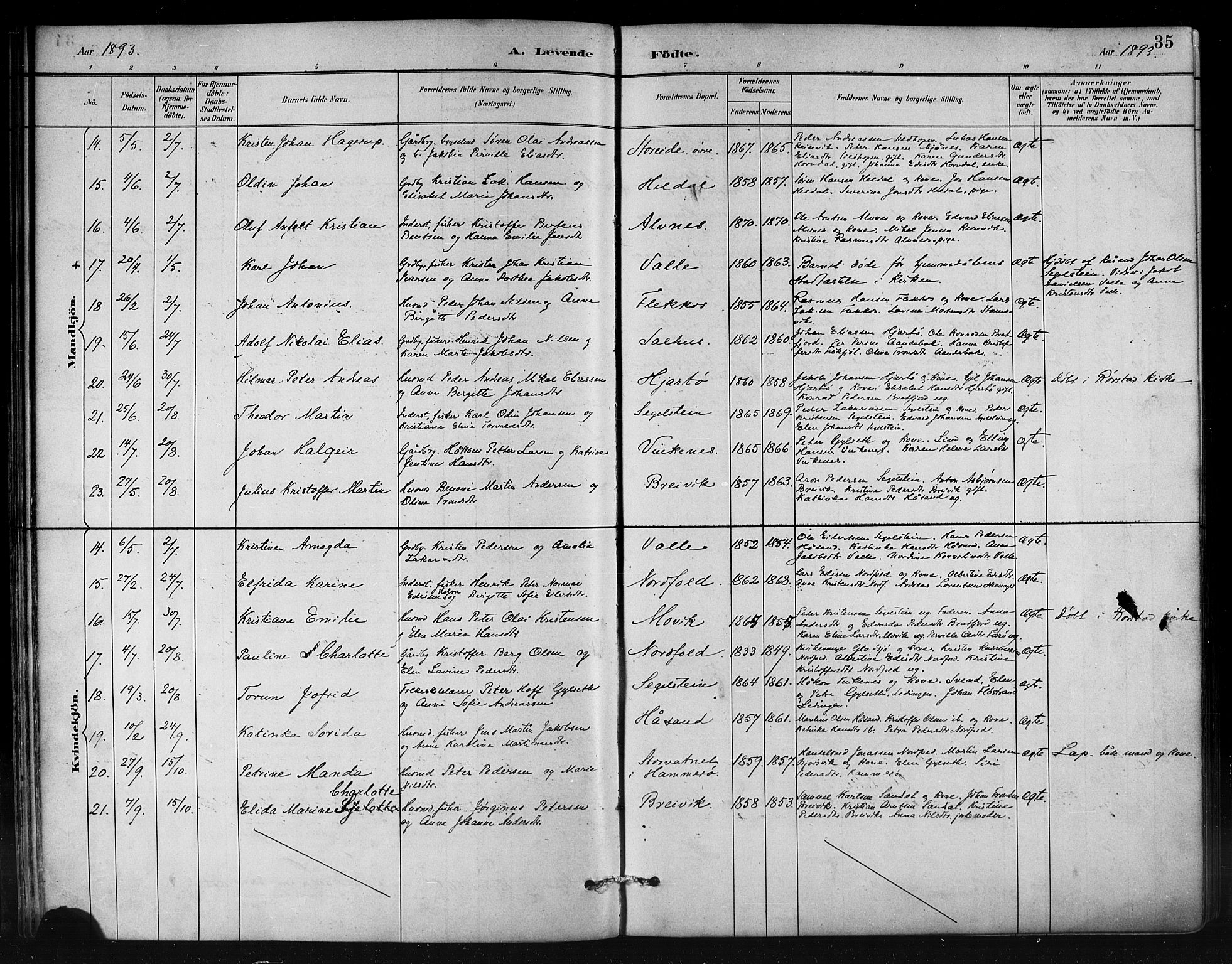 Ministerialprotokoller, klokkerbøker og fødselsregistre - Nordland, AV/SAT-A-1459/858/L0831: Ministerialbok nr. 858A01, 1884-1902, s. 35