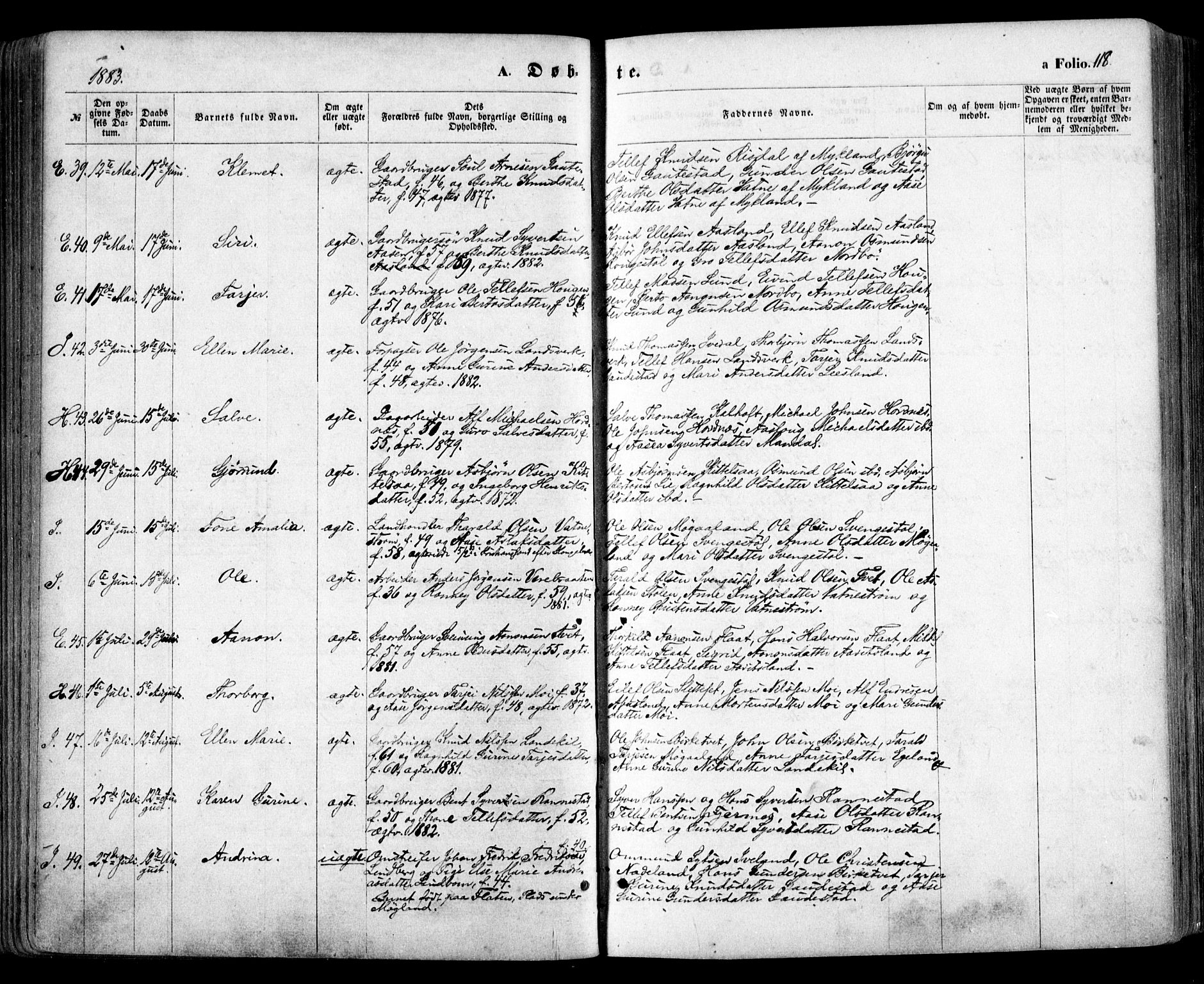 Evje sokneprestkontor, AV/SAK-1111-0008/F/Fa/Faa/L0006: Ministerialbok nr. A 6, 1866-1884, s. 118