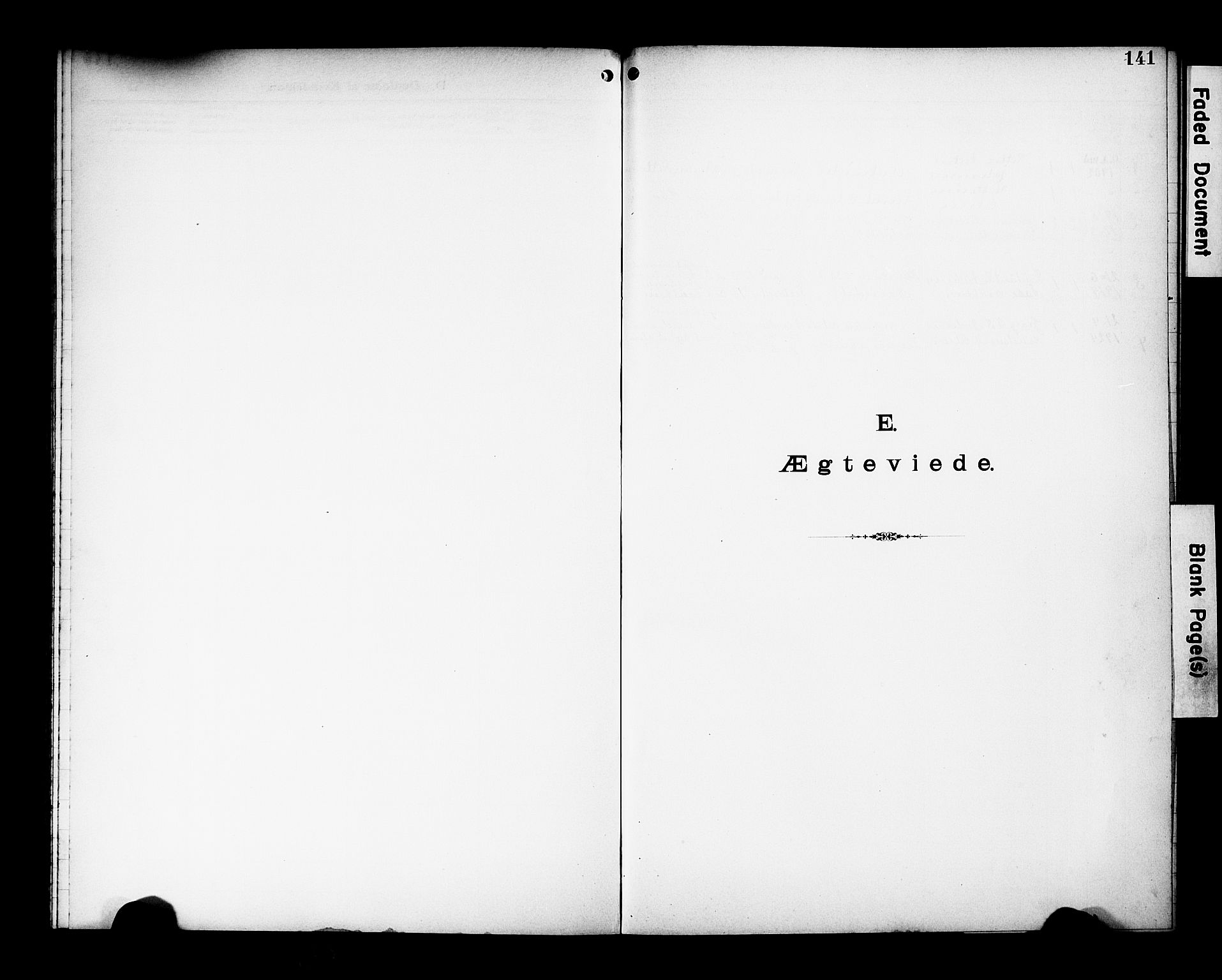 Den katolsk-apostoliske menighet, Kristiansand, AV/SAK-1292-0010/F/Fa/L0002: Dissenterprotokoll nr. 2, 1896-1925, s. 141