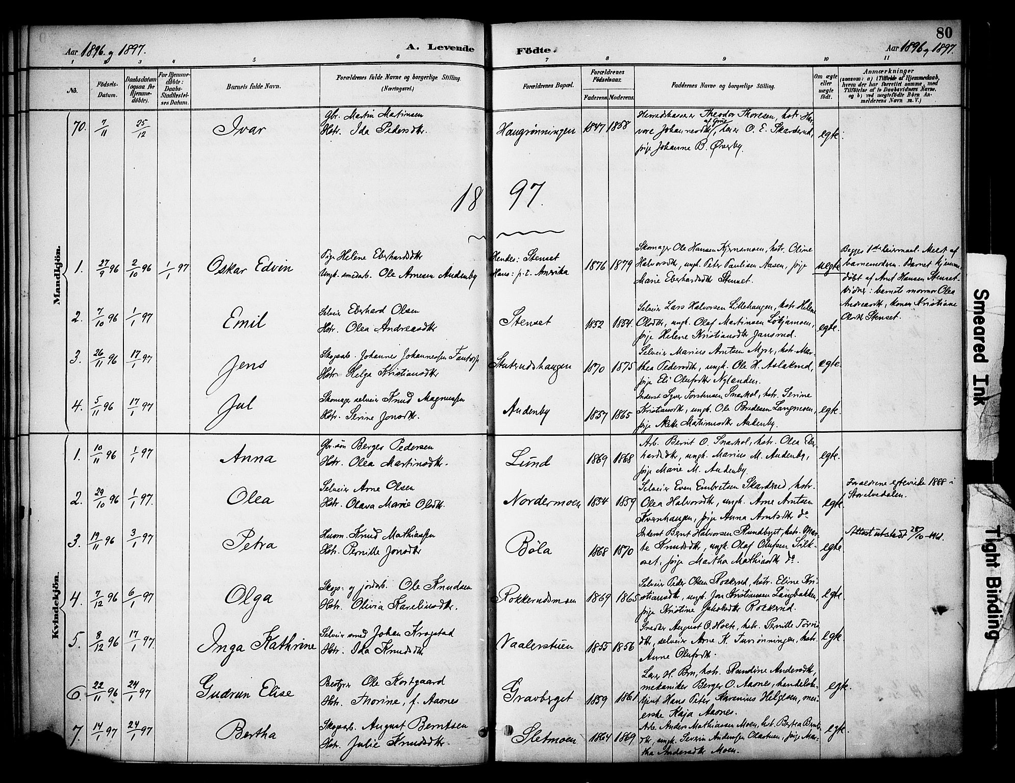 Våler prestekontor, Hedmark, AV/SAH-PREST-040/H/Ha/Haa/L0005: Ministerialbok nr. 5, 1887-1905, s. 80