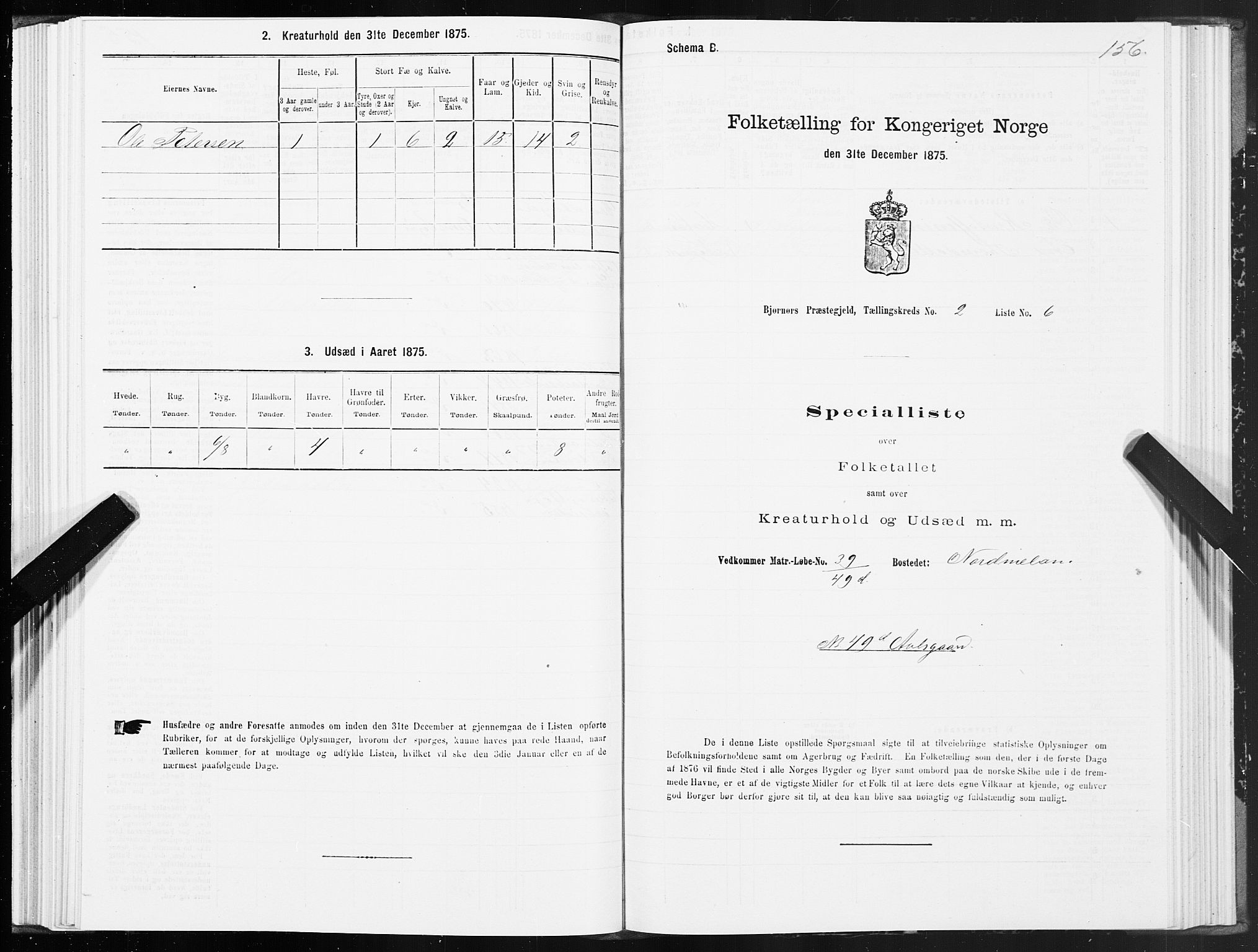 SAT, Folketelling 1875 for 1632P Bjørnør prestegjeld, 1875, s. 1156