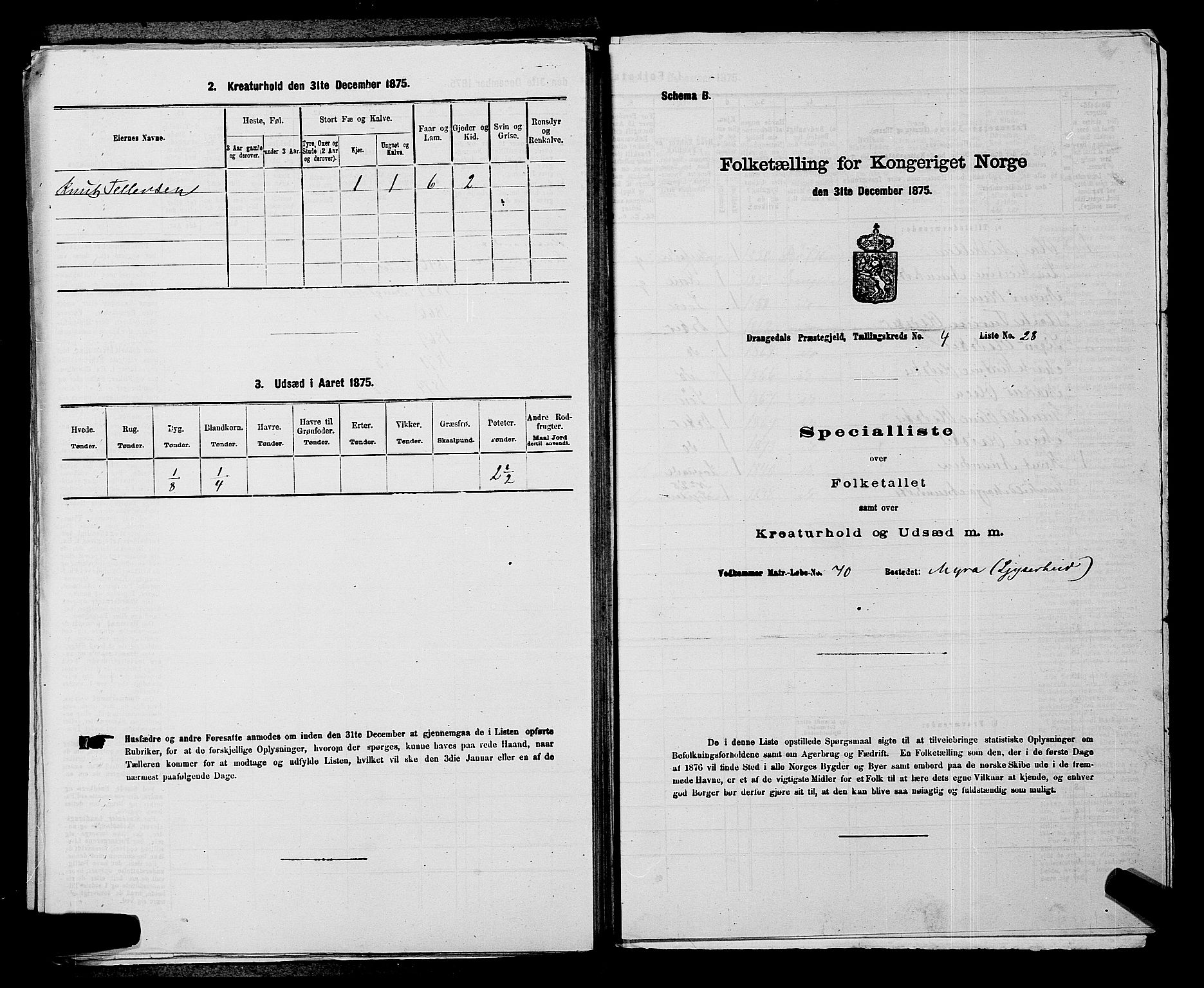 SAKO, Folketelling 1875 for 0817P Drangedal prestegjeld, 1875, s. 471