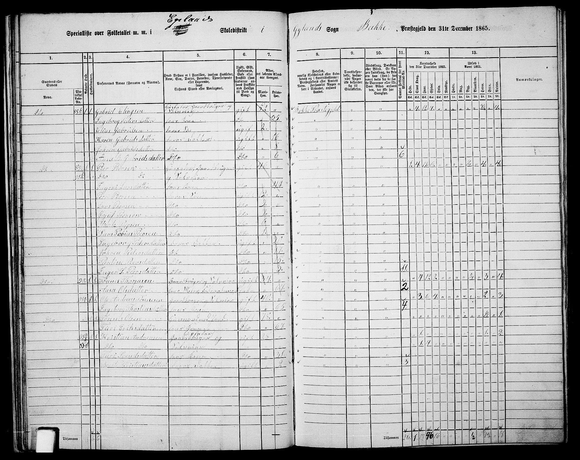 RA, Folketelling 1865 for 1045P Bakke prestegjeld, 1865, s. 27