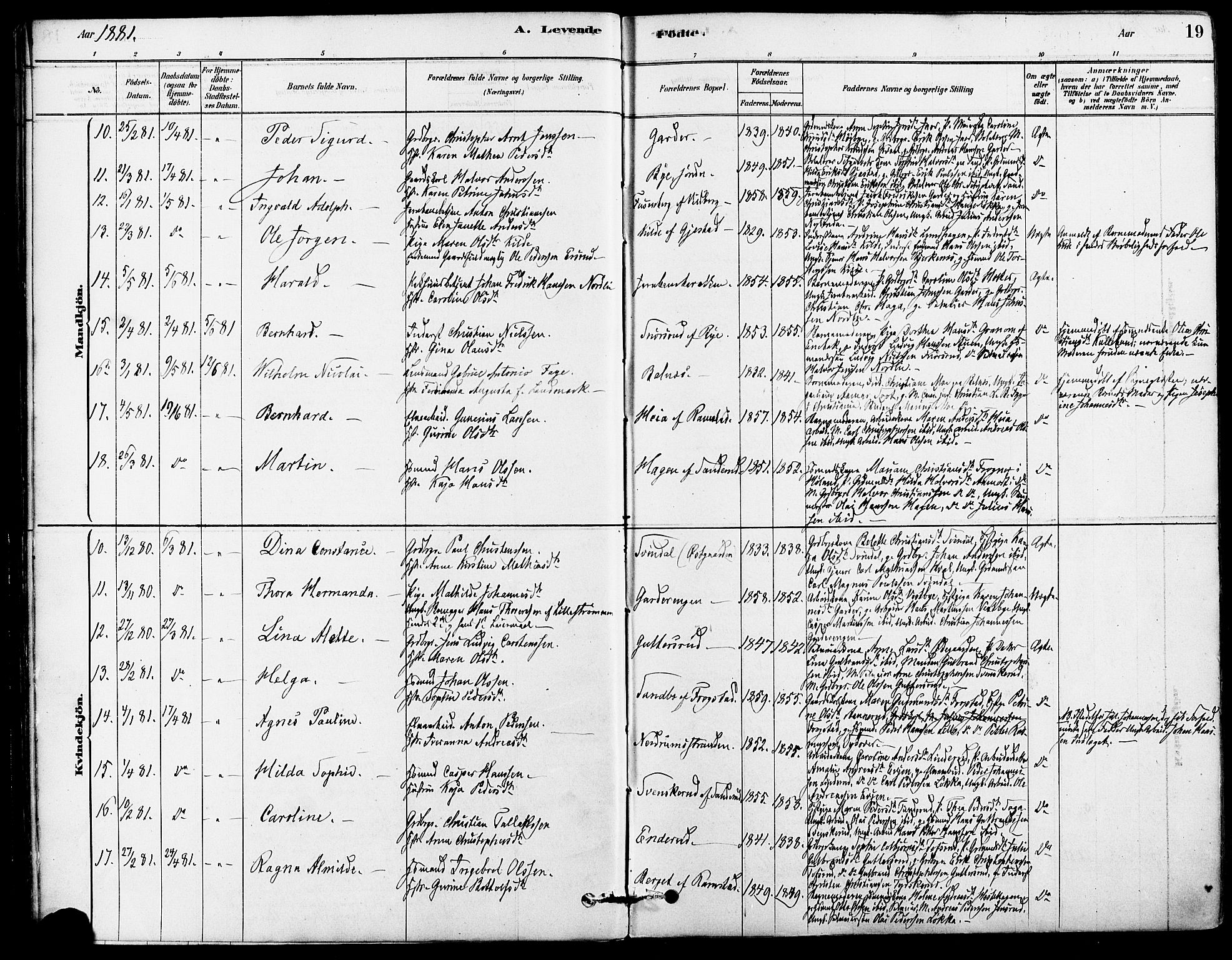 Fet prestekontor Kirkebøker, AV/SAO-A-10370a/F/Fa/L0014: Ministerialbok nr. I 14, 1878-1891, s. 19