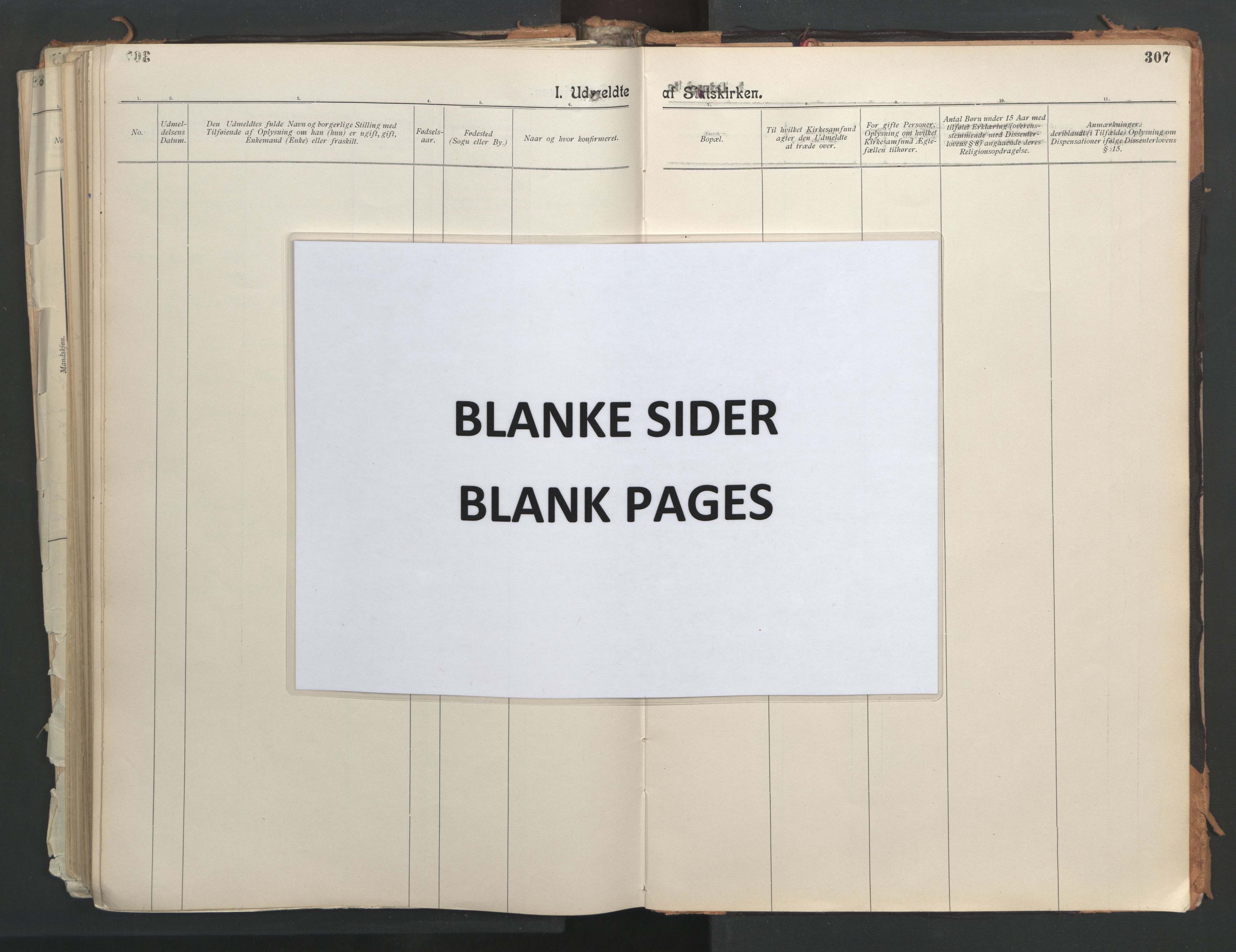 Ministerialprotokoller, klokkerbøker og fødselsregistre - Nordland, AV/SAT-A-1459/851/L0724: Ministerialbok nr. 851A01, 1901-1922, s. 307