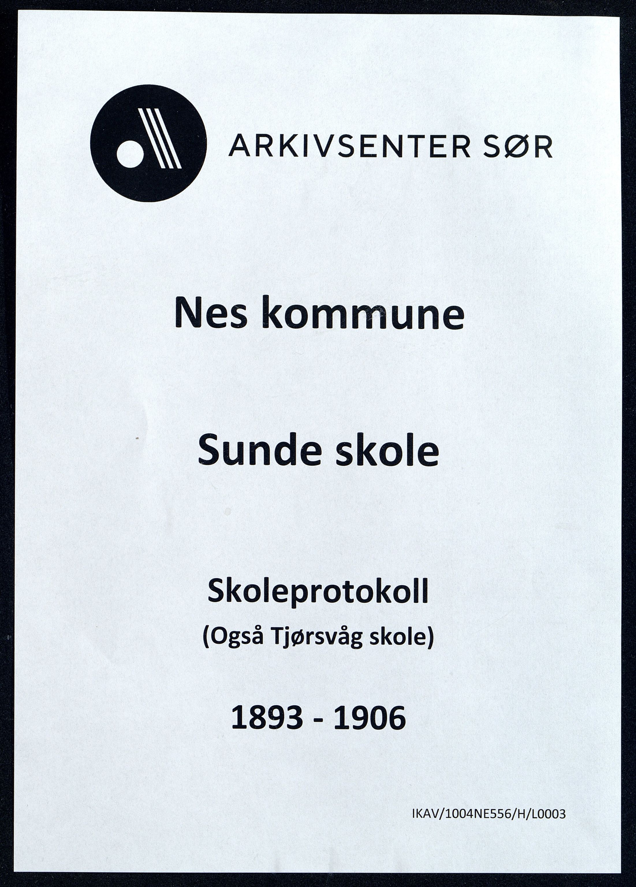 Nes kommune - Sunde Skole, ARKSOR/1004NE556/H/L0003: Skoleprotokoll, 1893-1906