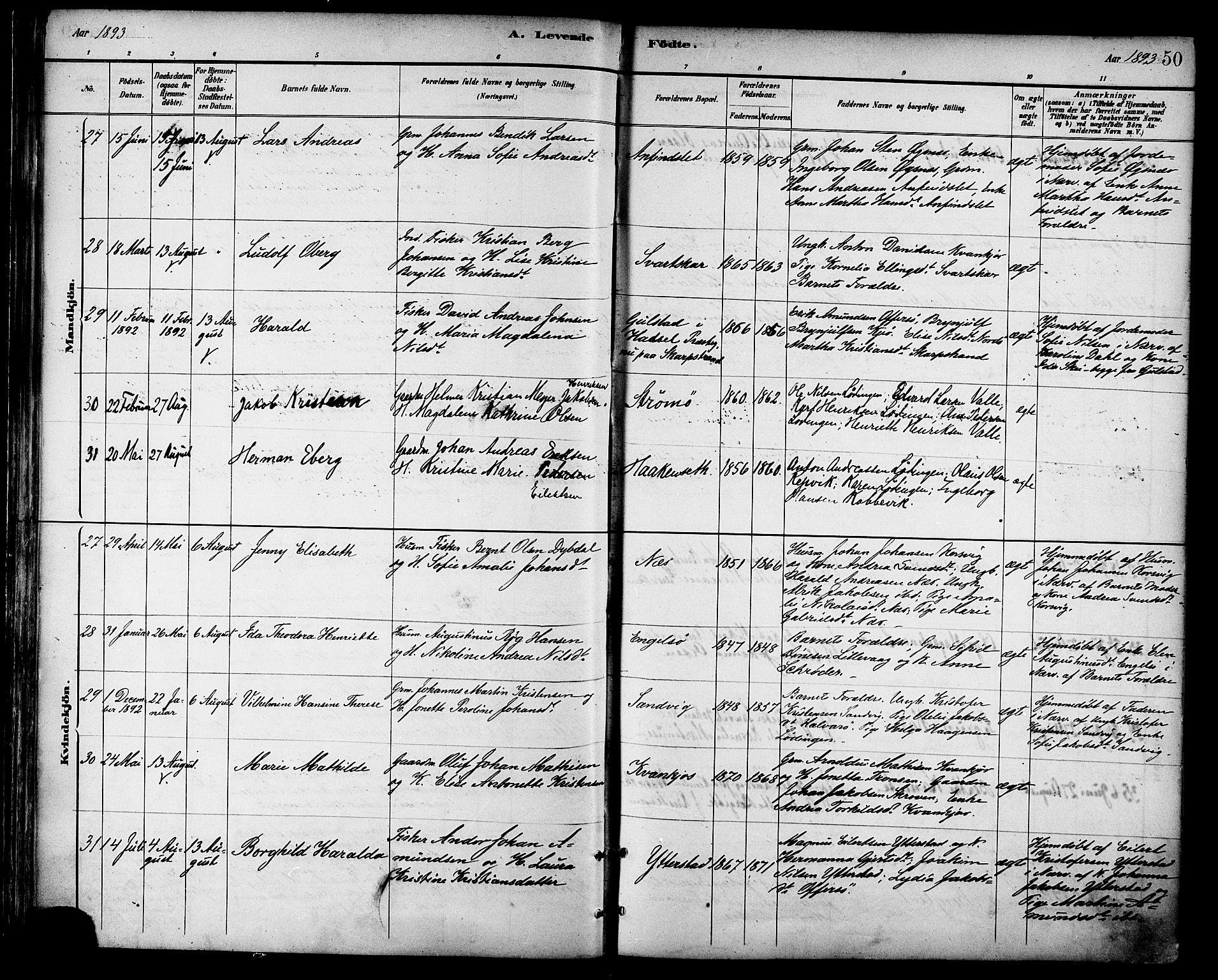 Ministerialprotokoller, klokkerbøker og fødselsregistre - Nordland, AV/SAT-A-1459/872/L1035: Ministerialbok nr. 872A10, 1884-1896, s. 50