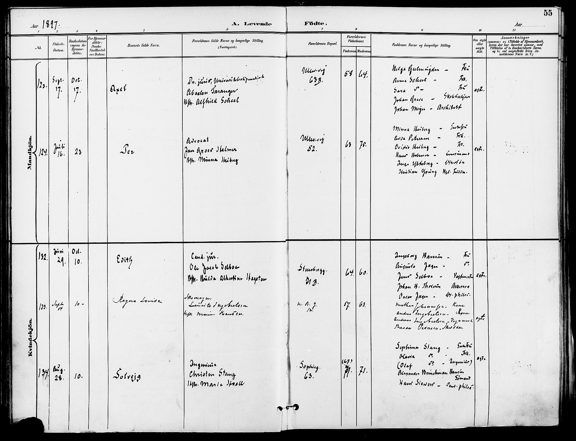 Gamle Aker prestekontor Kirkebøker, AV/SAO-A-10617a/F/L0011: Ministerialbok nr. 11, 1896-1901, s. 55