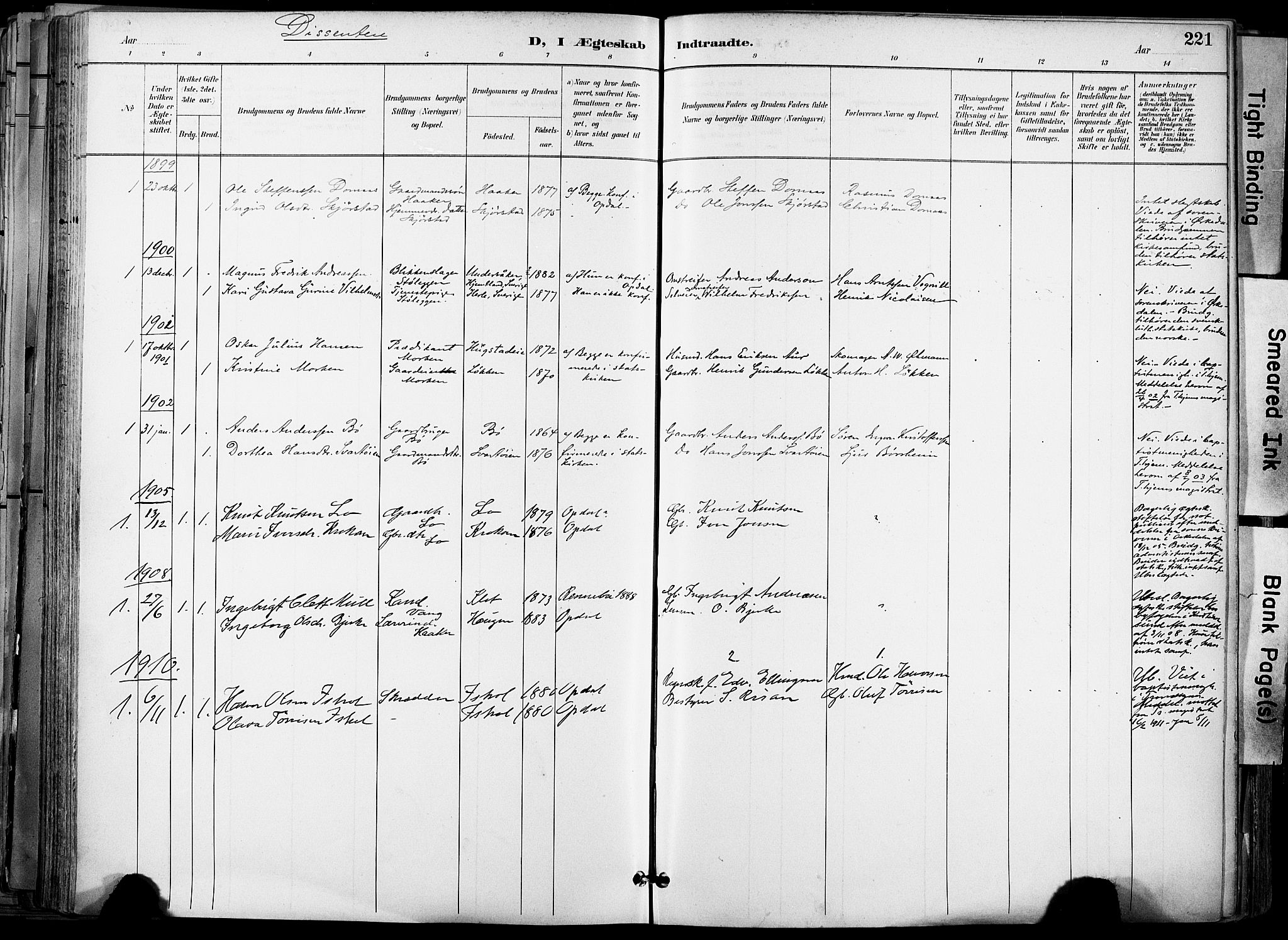 Ministerialprotokoller, klokkerbøker og fødselsregistre - Sør-Trøndelag, AV/SAT-A-1456/678/L0902: Ministerialbok nr. 678A11, 1895-1911, s. 221