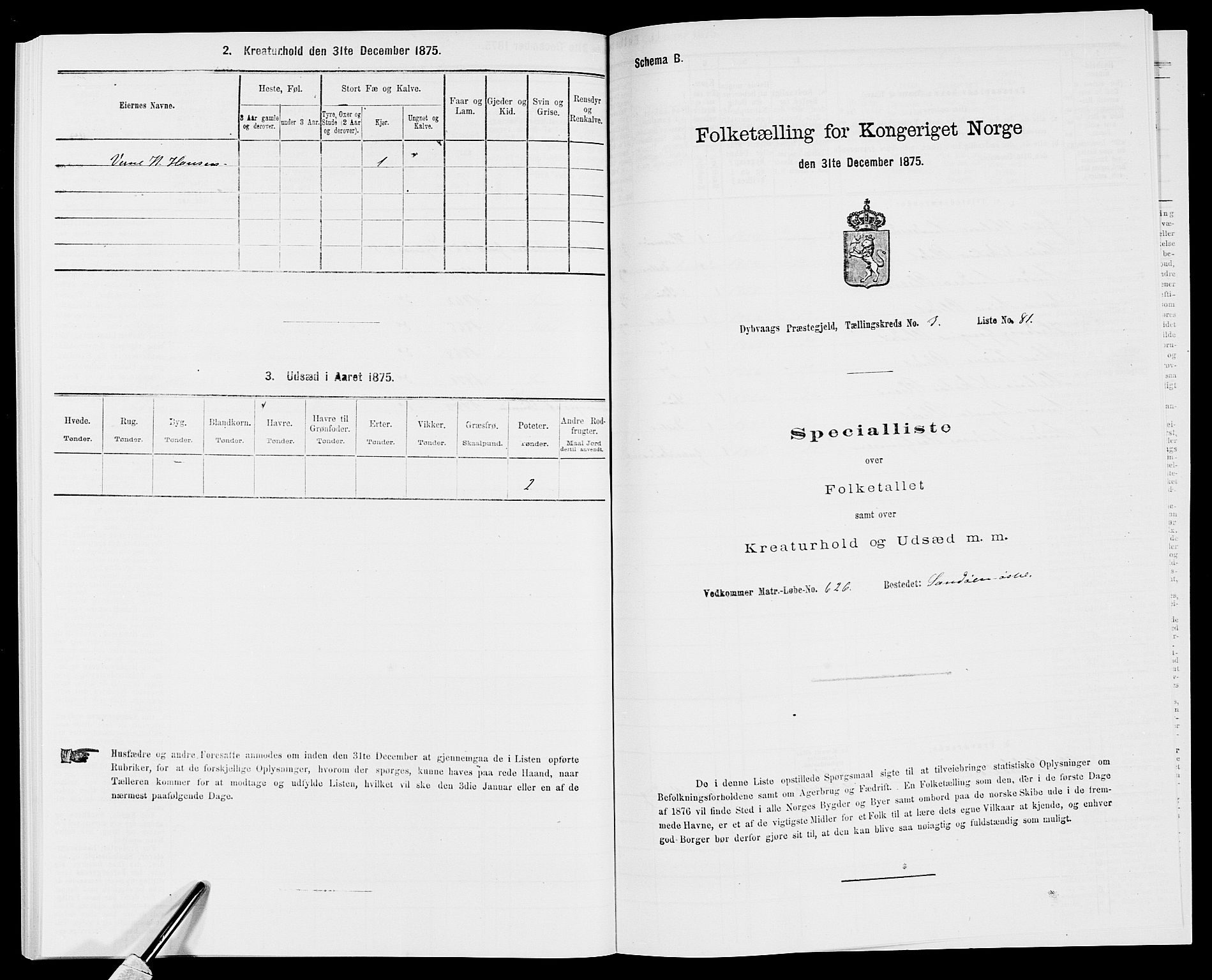 SAK, Folketelling 1875 for 0915P Dypvåg prestegjeld, 1875, s. 420