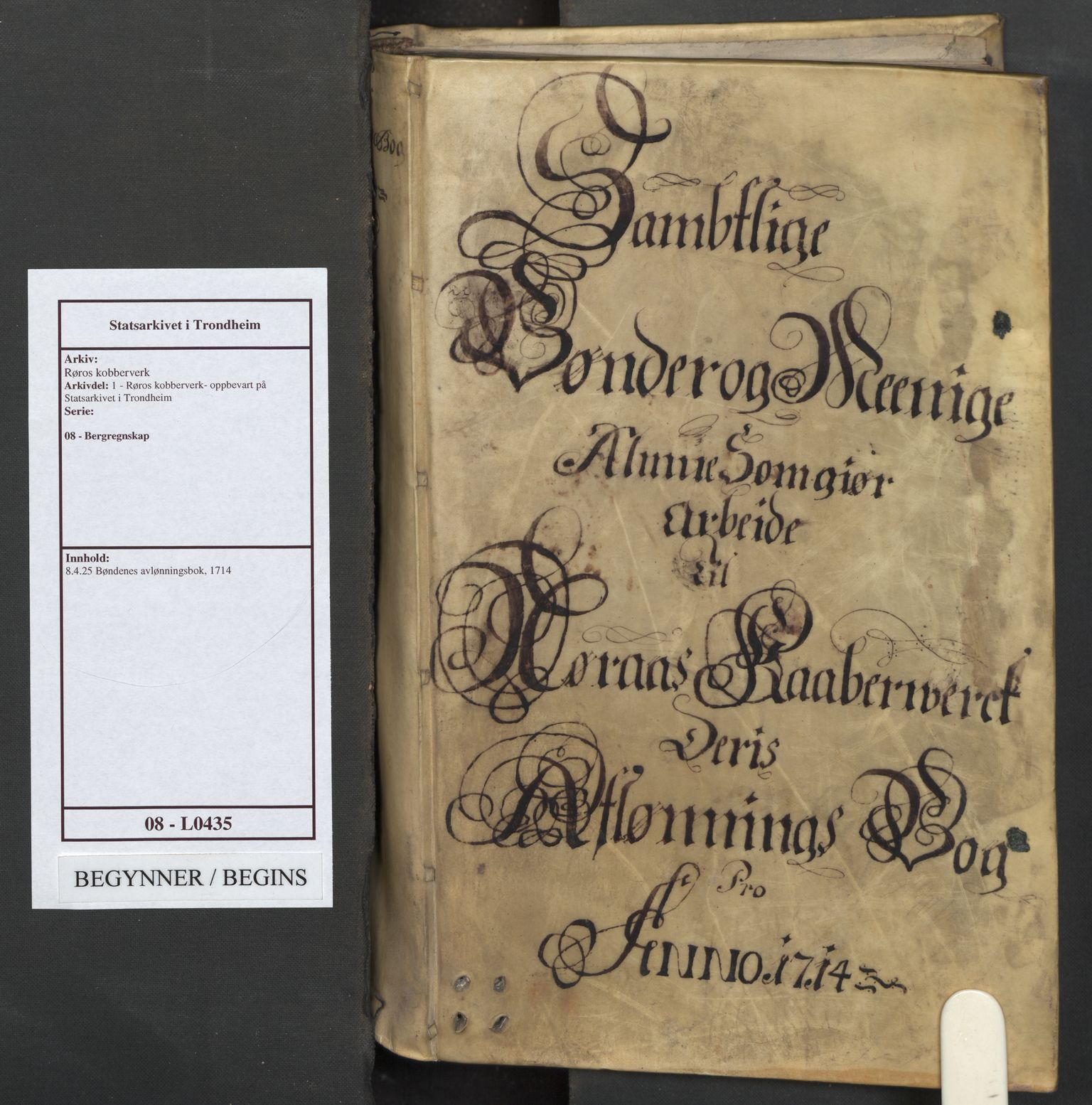 Røros kobberverk, SAT/PA-0211/1/08/L0435: 8.4.25 Bøndenes avlønningsbok, 1714
