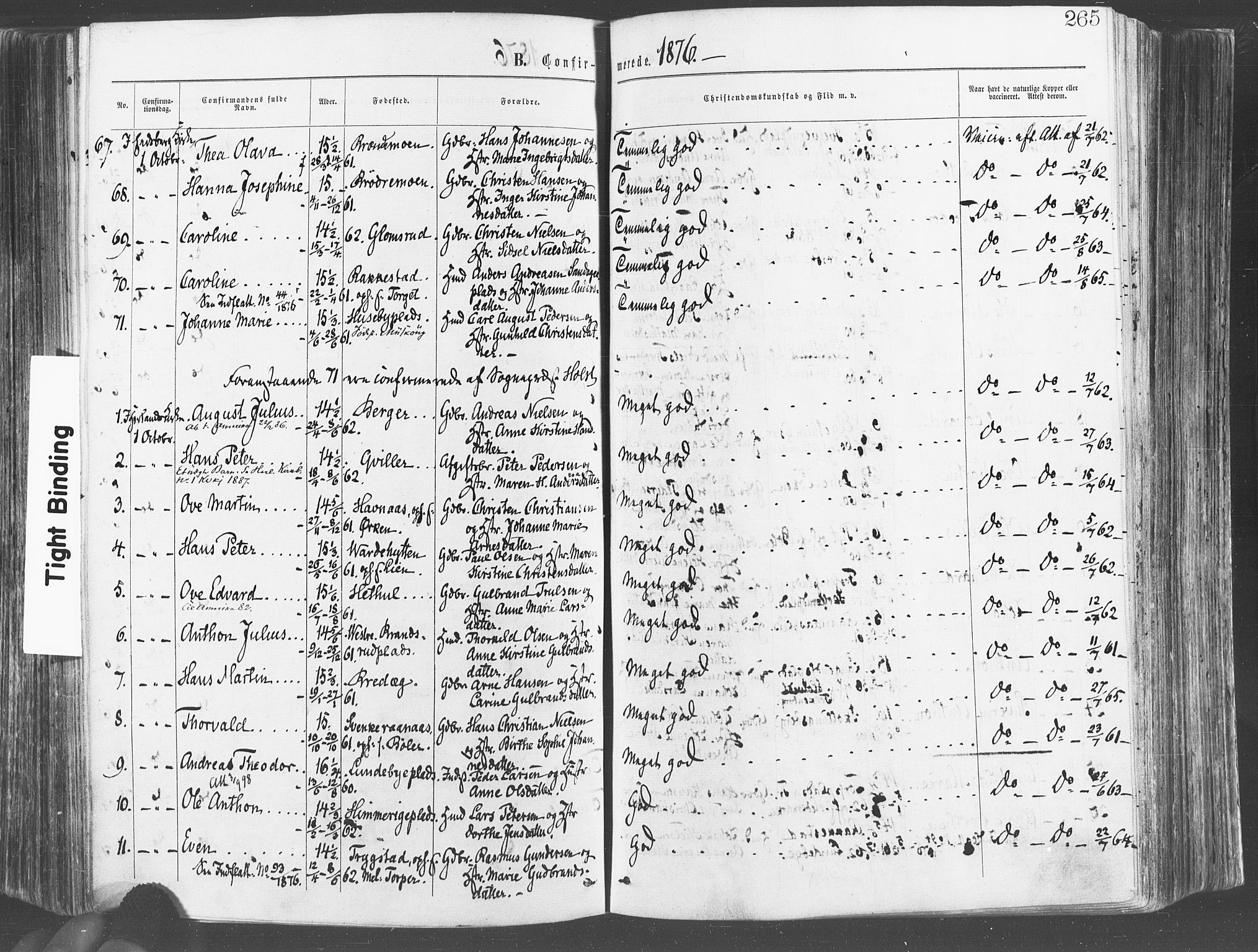 Eidsberg prestekontor Kirkebøker, AV/SAO-A-10905/F/Fa/L0011: Ministerialbok nr. I 11, 1867-1878, s. 265
