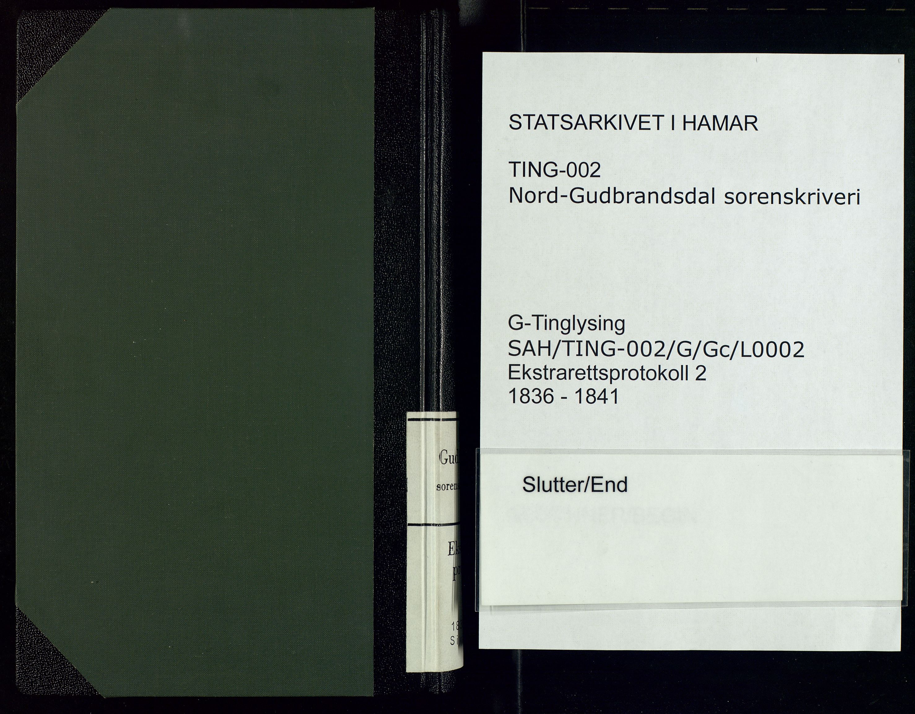 Nord-Gudbrandsdal tingrett, AV/SAH-TING-002/G/Gc/Gca/L0002: Ekstrarettsprotokoll, 1836-1841