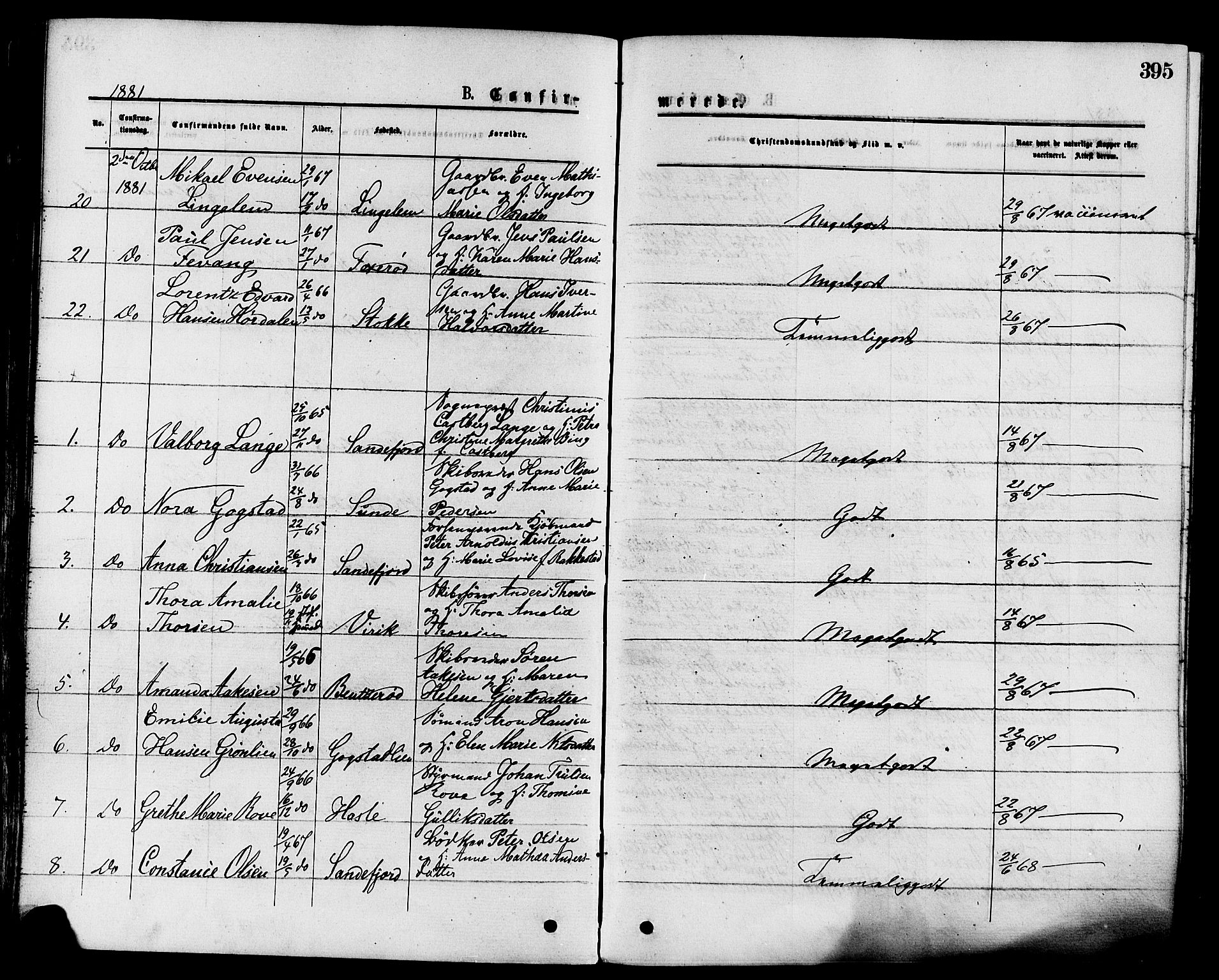 Sandar kirkebøker, AV/SAKO-A-243/F/Fa/L0010: Ministerialbok nr. 10, 1872-1882, s. 395