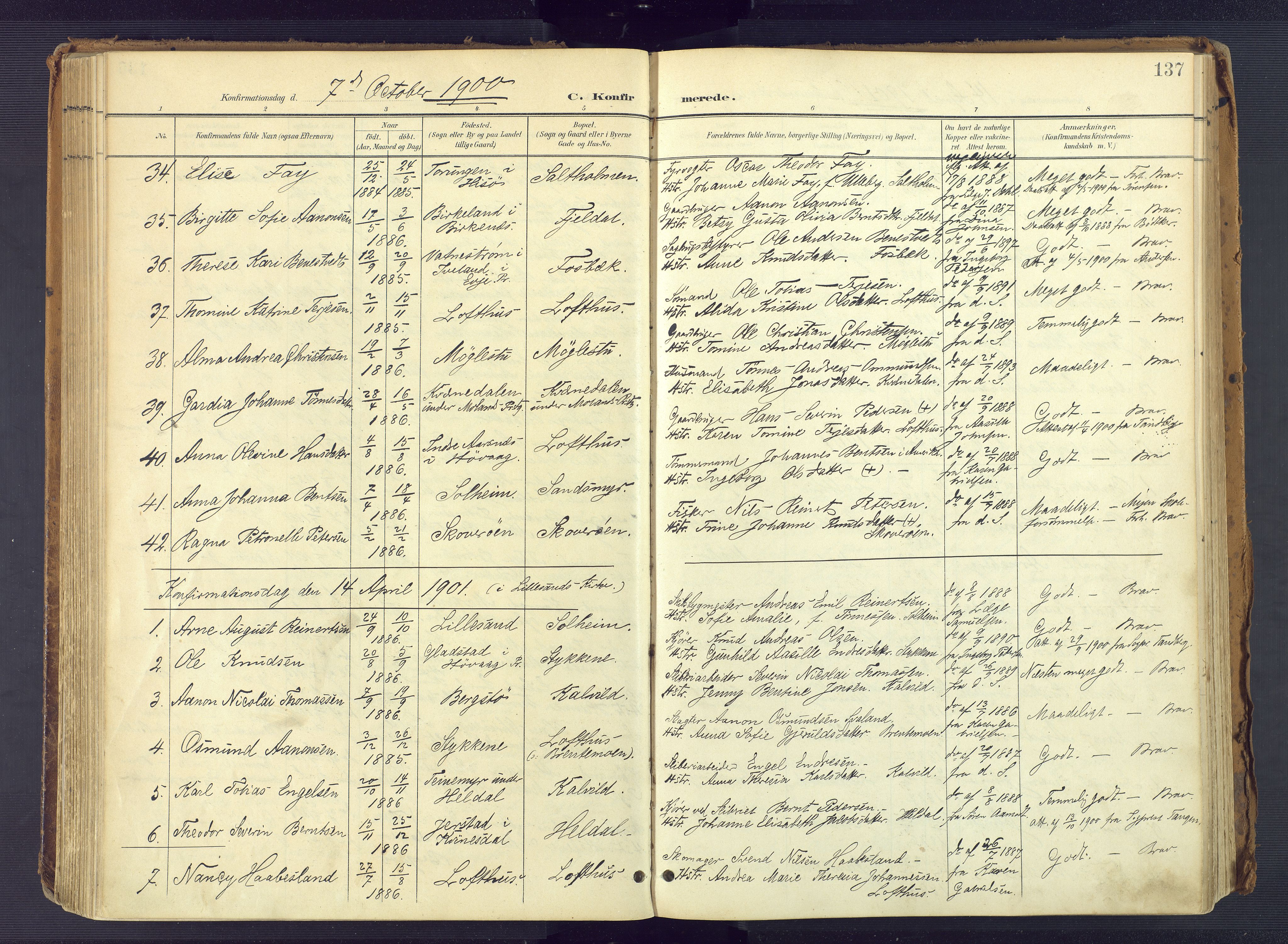 Vestre Moland sokneprestkontor, AV/SAK-1111-0046/F/Fa/Fab/L0010: Ministerialbok nr. A 10, 1900-1926, s. 137