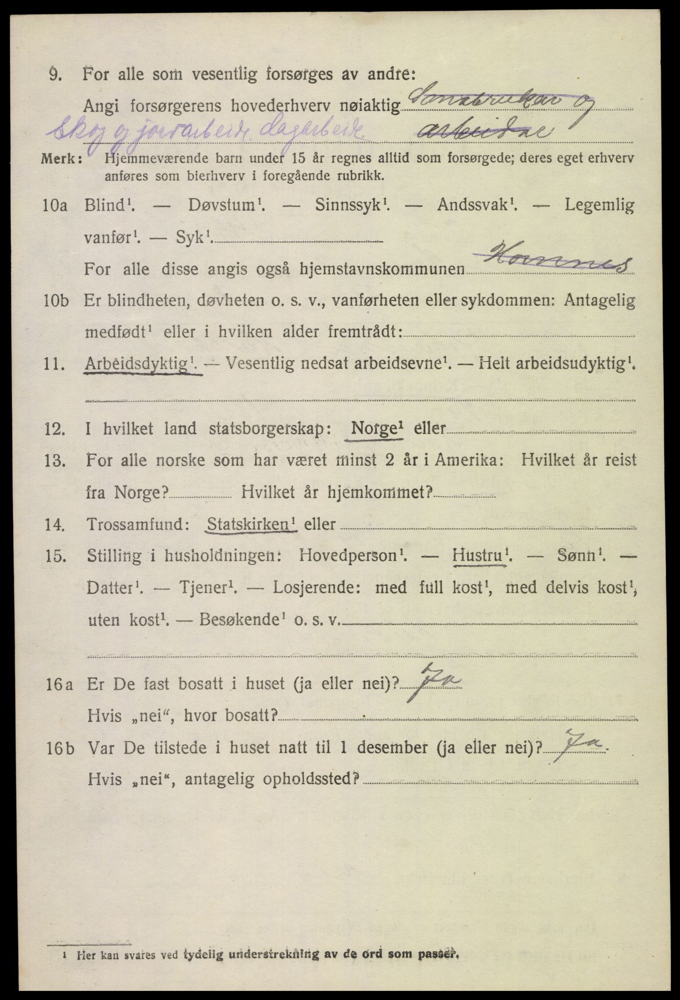 SAK, Folketelling 1920 for 0936 Hornnes herred, 1920, s. 1532