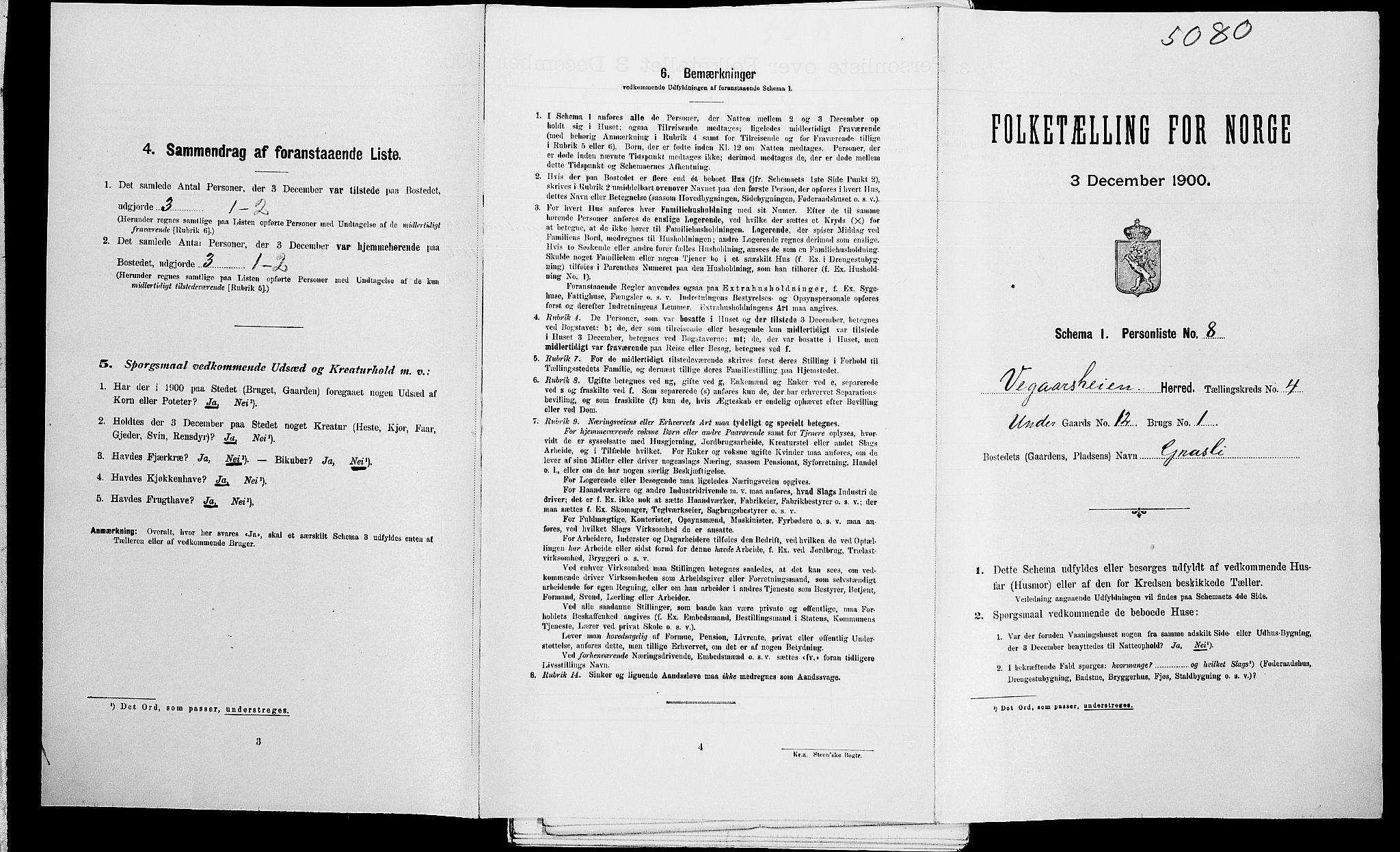 SAK, Folketelling 1900 for 0912 Vegårshei herred, 1900, s. 251