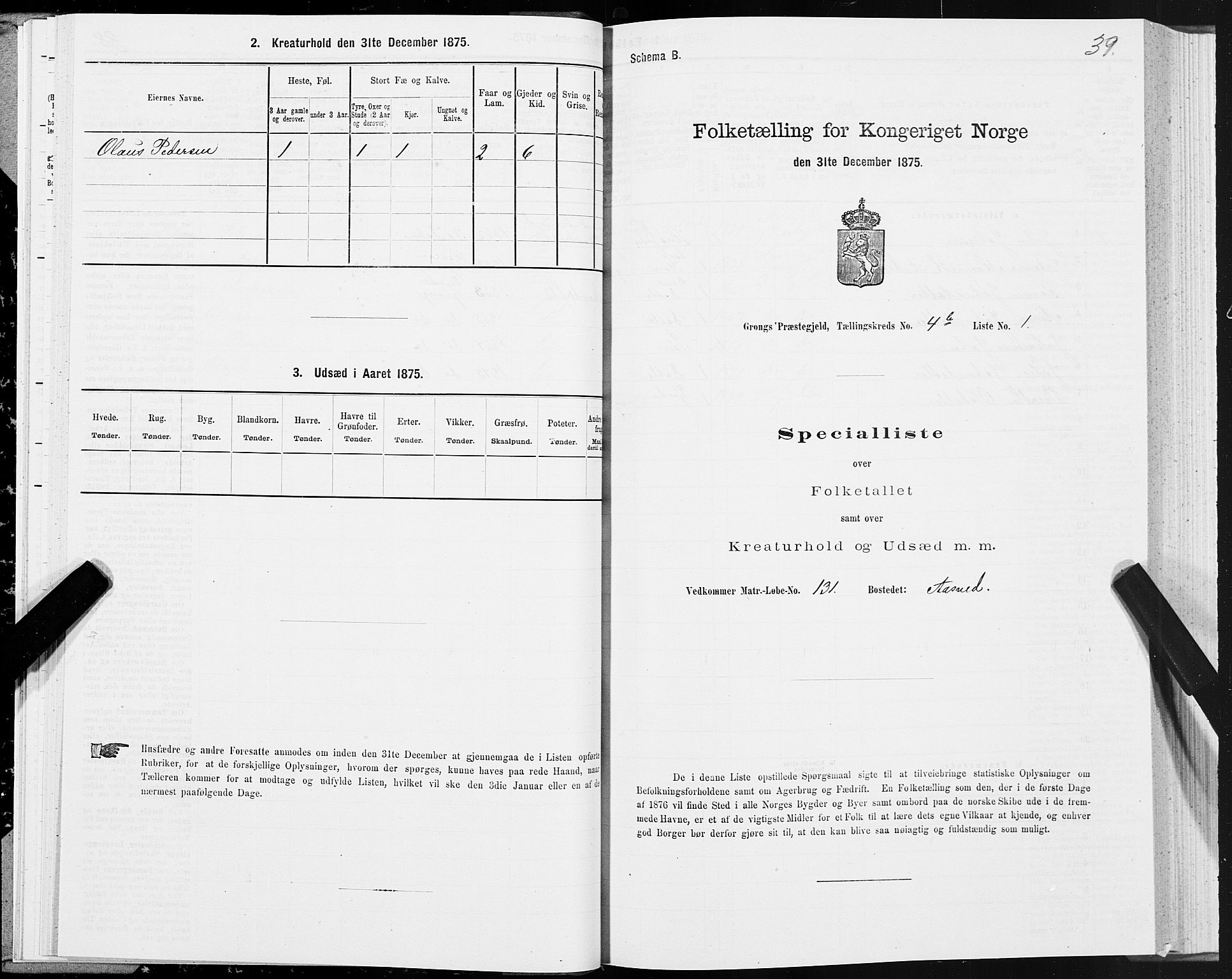 SAT, Folketelling 1875 for 1742P Grong prestegjeld, 1875, s. 3039