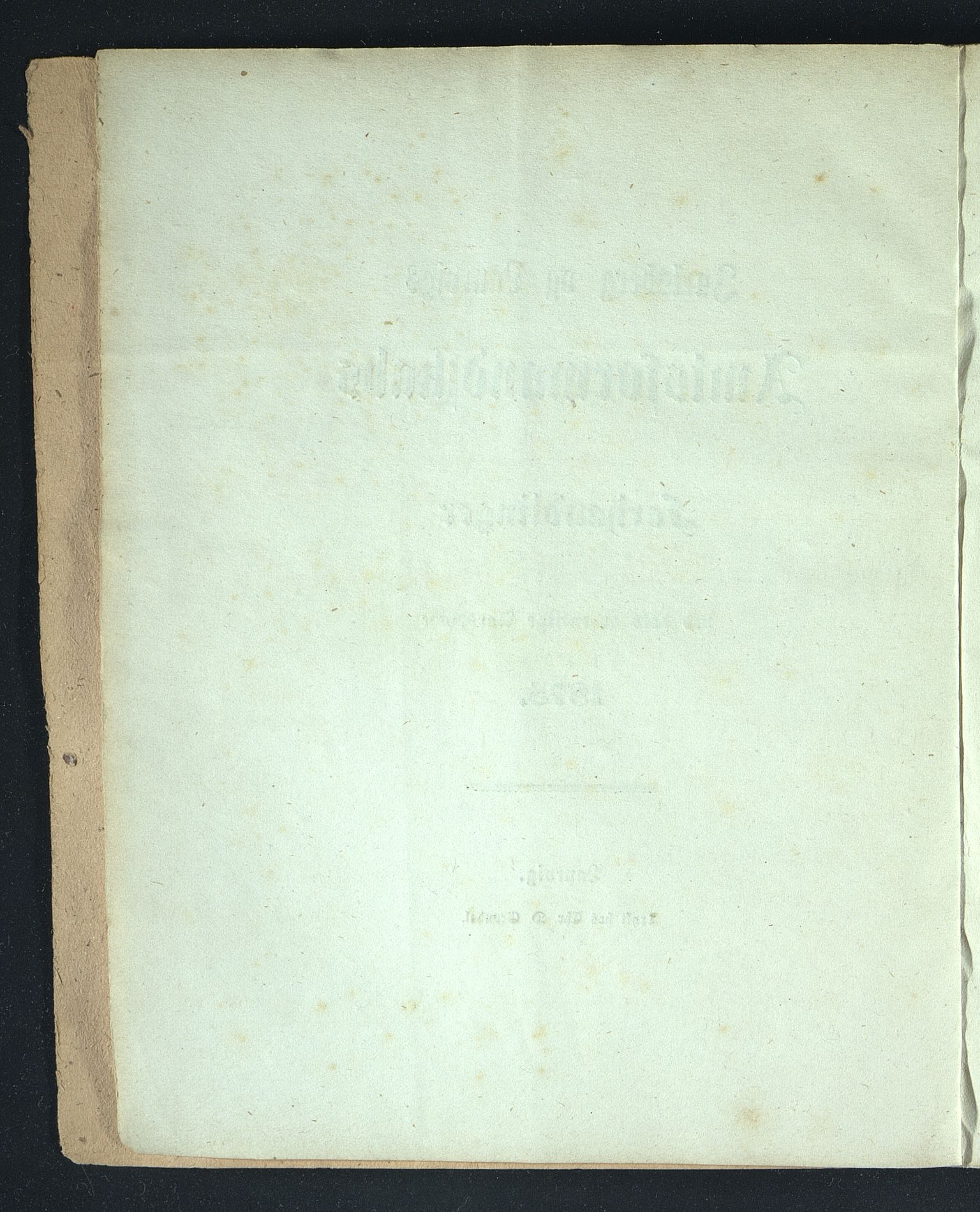 Vestfold fylkeskommune. Fylkestinget, VEMU/A-1315/A/Ab/Abb/L0022: Fylkestingsforhandlinger, 1875