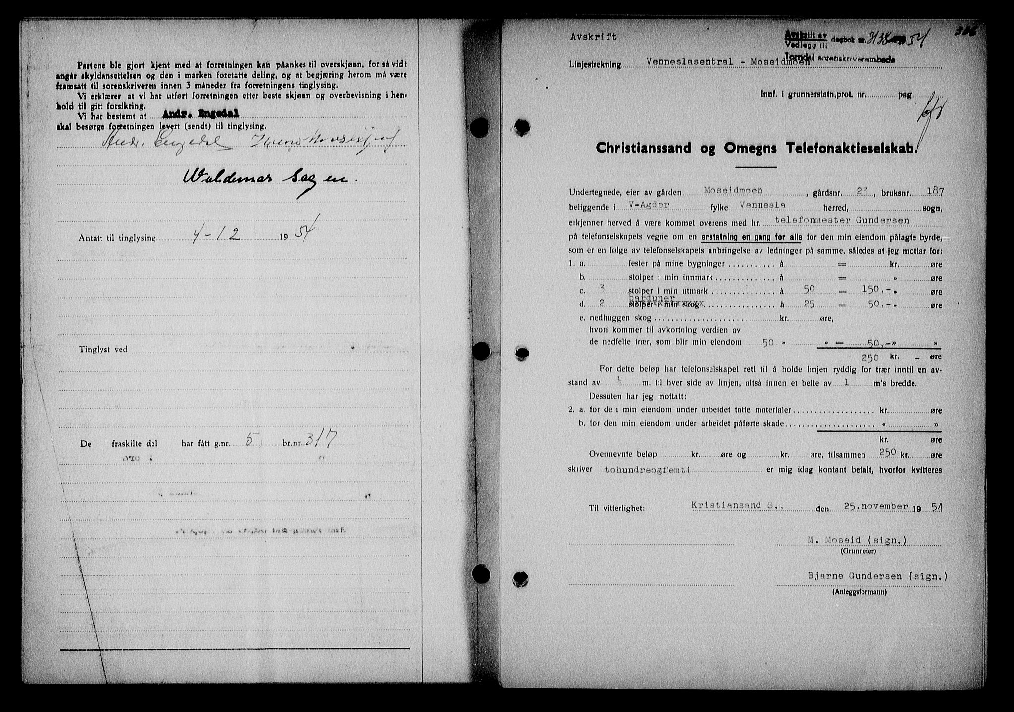 Torridal sorenskriveri, SAK/1221-0012/G/Gb/Gba/L0065: Pantebok nr. 80a-84a, 1953-1955, Dagboknr: 3138/1954