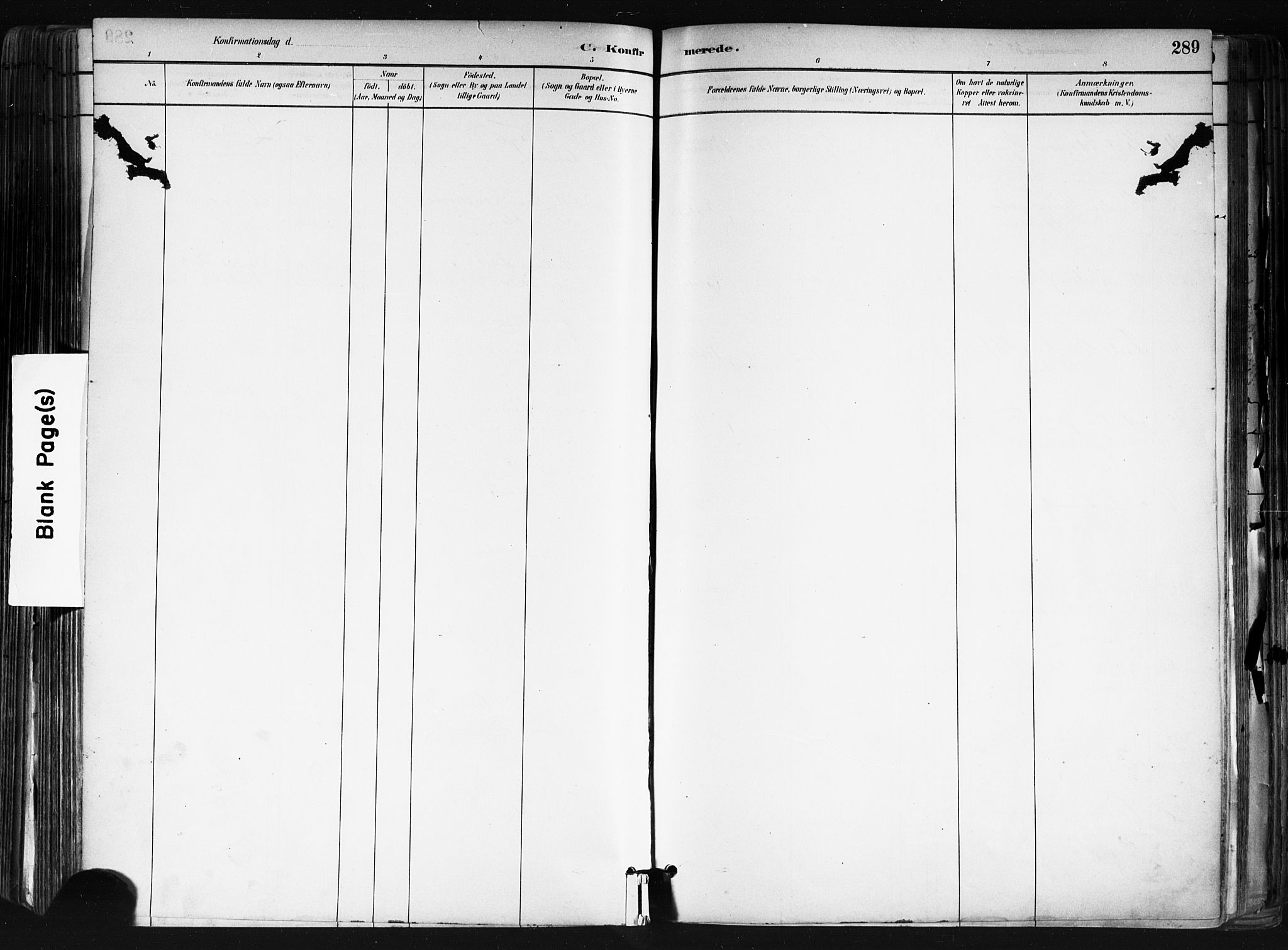 Nes prestekontor Kirkebøker, AV/SAO-A-10410/F/Fa/L0010: Ministerialbok nr. I 10, 1883-1898, s. 289