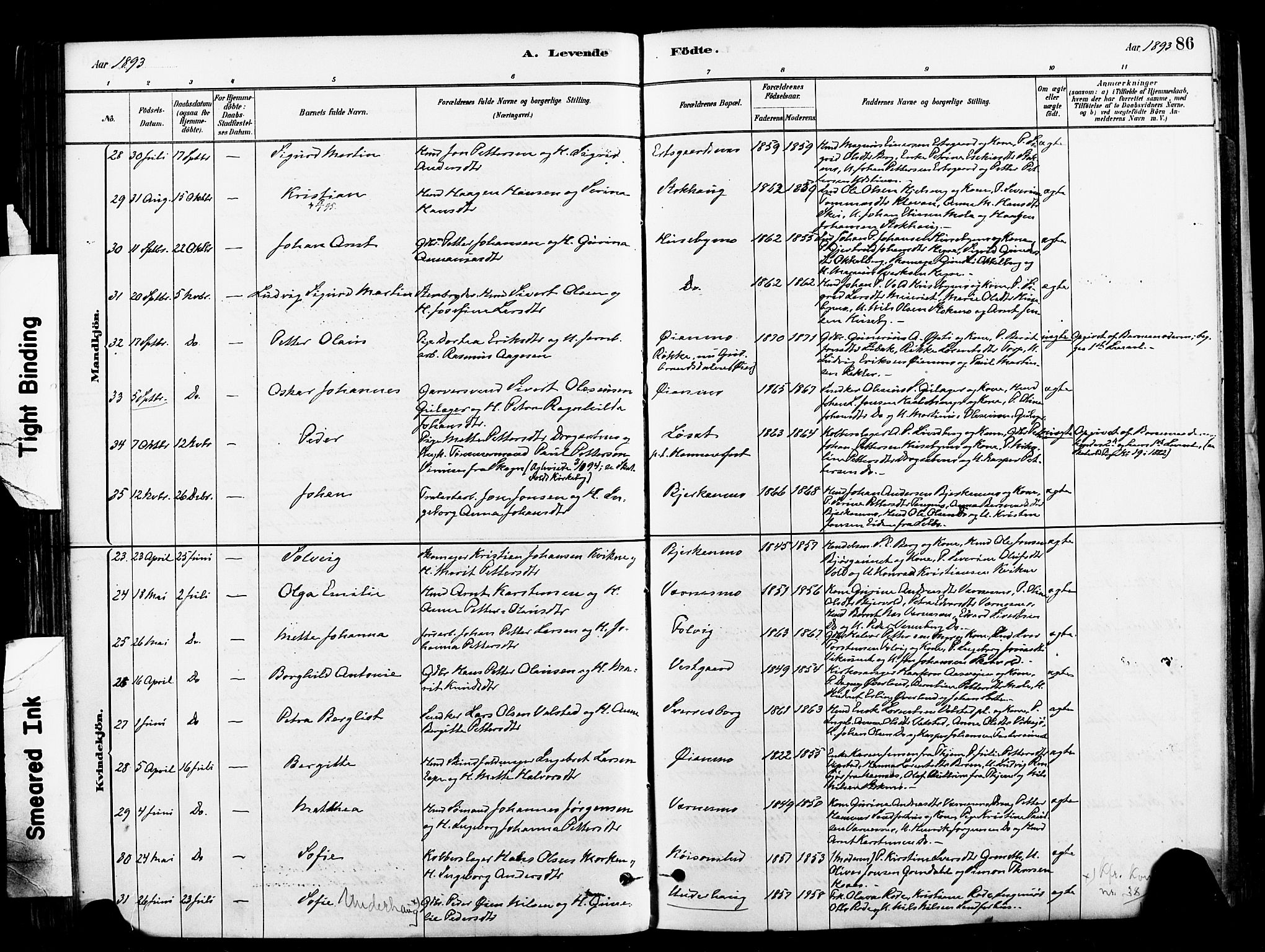 Ministerialprotokoller, klokkerbøker og fødselsregistre - Nord-Trøndelag, SAT/A-1458/709/L0077: Ministerialbok nr. 709A17, 1880-1895, s. 86