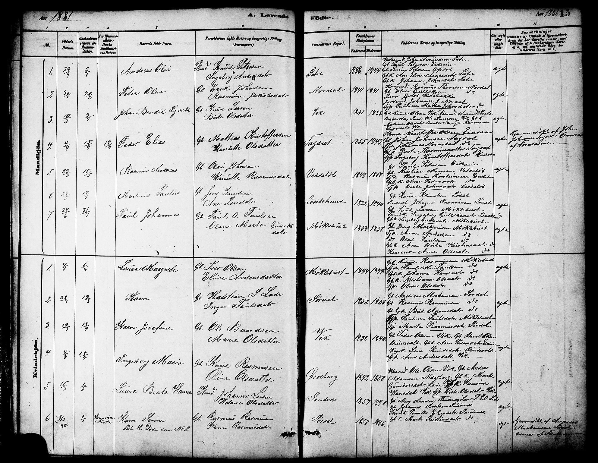 Ministerialprotokoller, klokkerbøker og fødselsregistre - Møre og Romsdal, AV/SAT-A-1454/502/L0027: Klokkerbok nr. 502C01, 1878-1908, s. 15