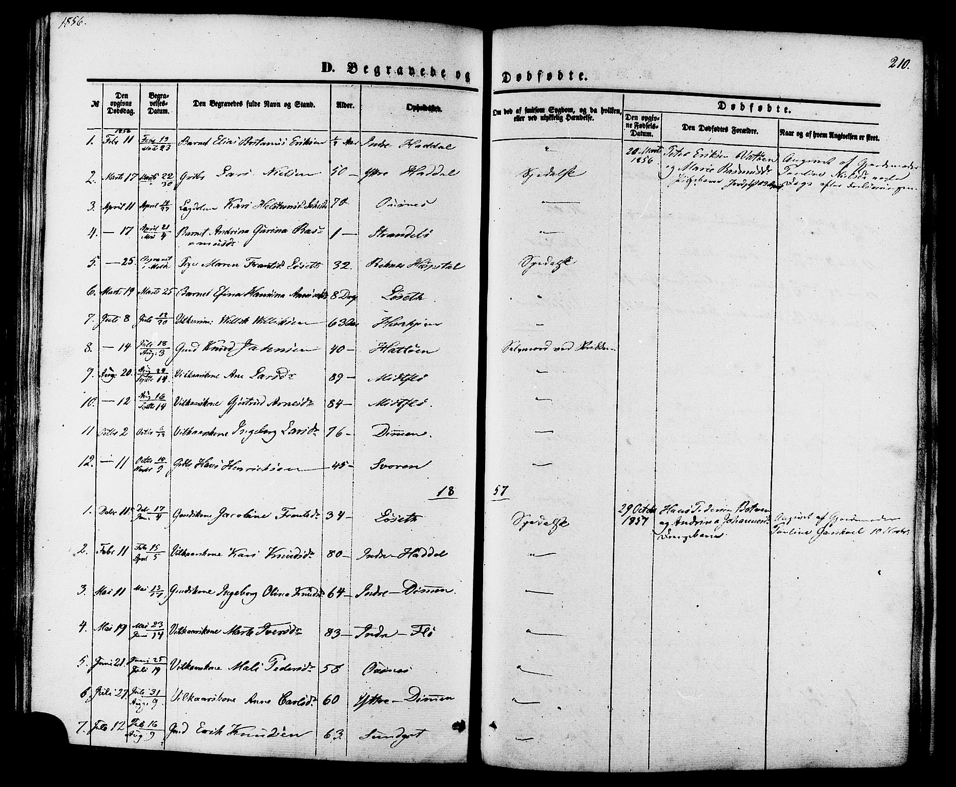 Ministerialprotokoller, klokkerbøker og fødselsregistre - Møre og Romsdal, AV/SAT-A-1454/509/L0105: Ministerialbok nr. 509A03, 1848-1882, s. 210