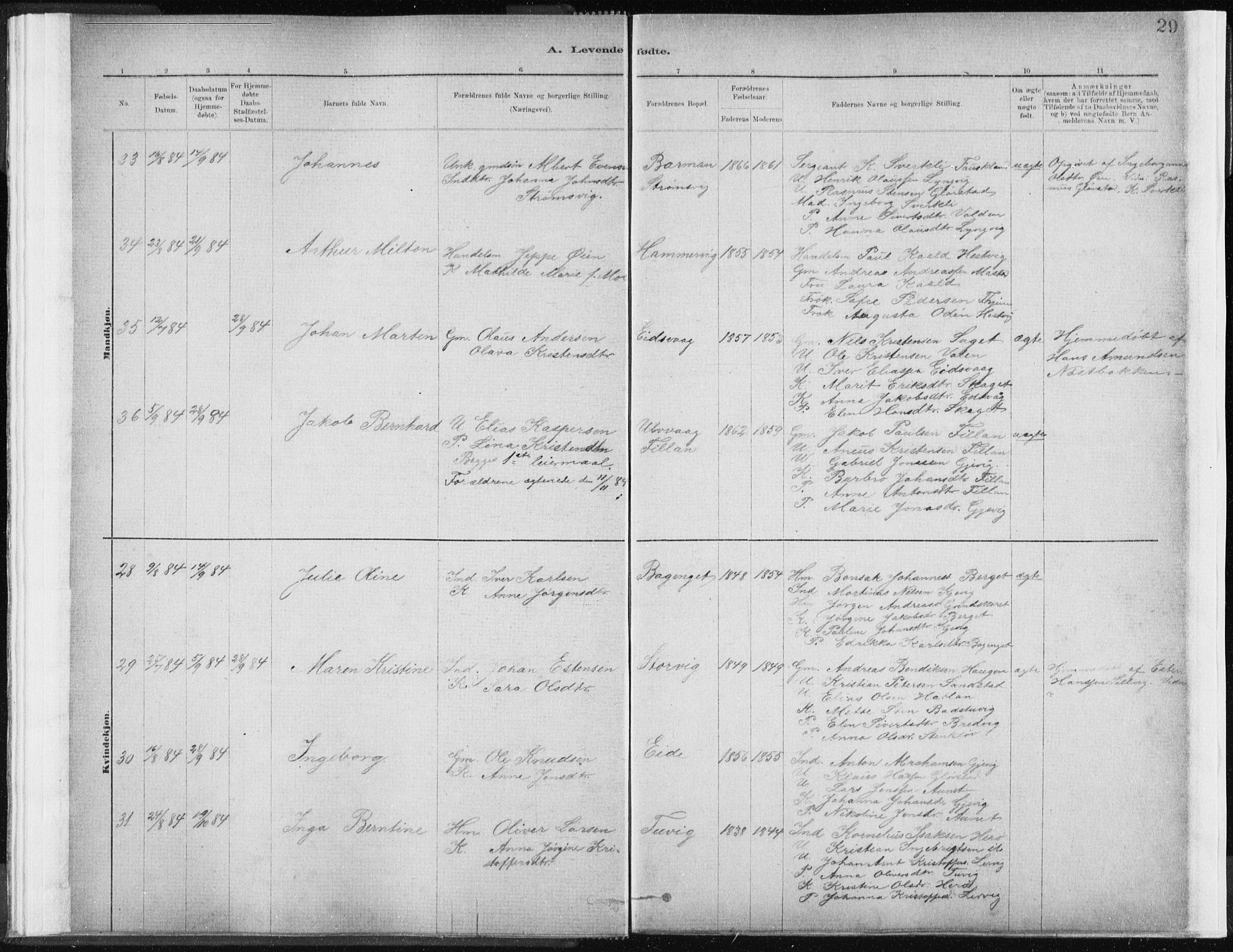 Ministerialprotokoller, klokkerbøker og fødselsregistre - Sør-Trøndelag, SAT/A-1456/637/L0558: Ministerialbok nr. 637A01, 1882-1899, s. 29