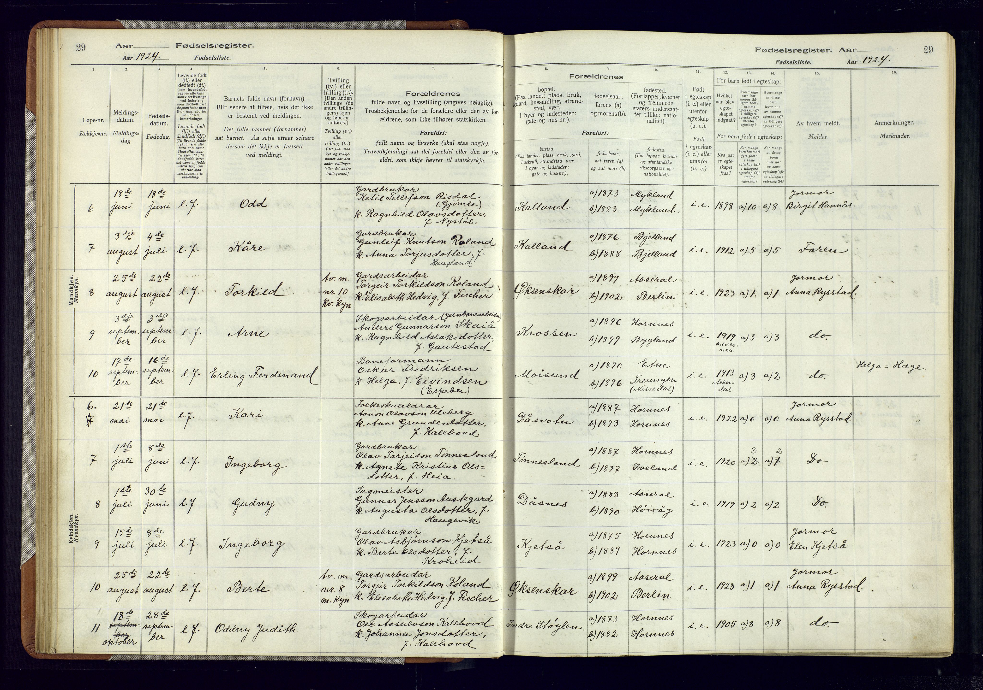 Evje sokneprestkontor, AV/SAK-1111-0008/J/Jc/L0006: Fødselsregister nr. 6, 1916-1982, s. 29