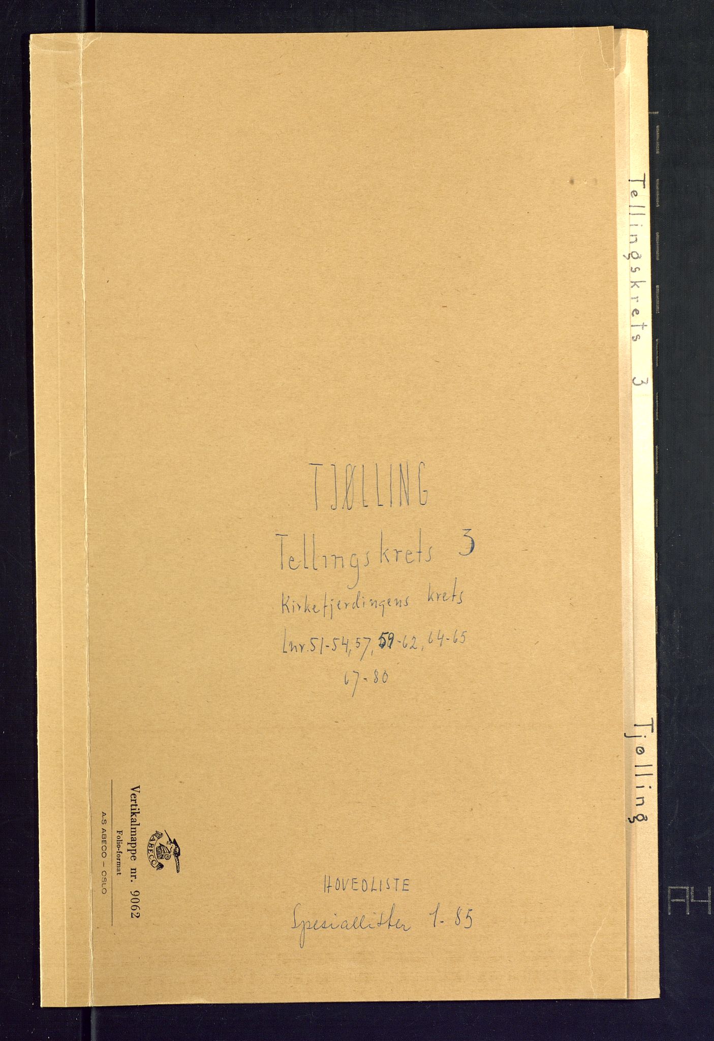 SAKO, Folketelling 1875 for 0725P Tjølling prestegjeld, 1875, s. 13