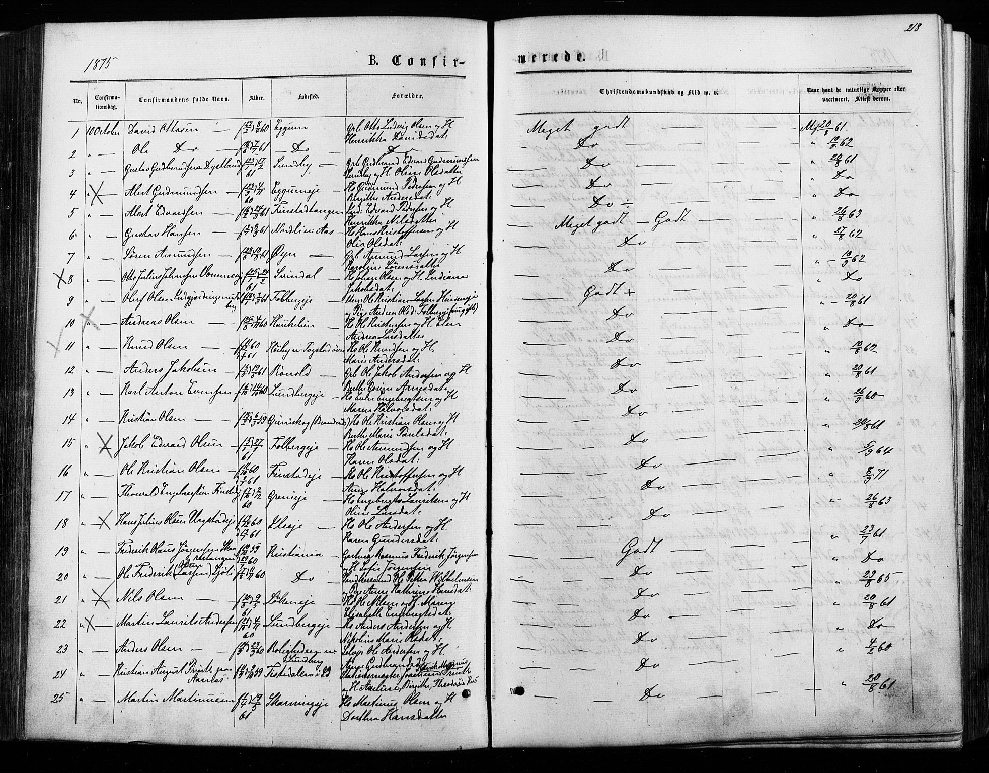 Nes prestekontor Kirkebøker, AV/SAO-A-10410/F/Fa/L0009: Ministerialbok nr. I 9, 1875-1882, s. 218