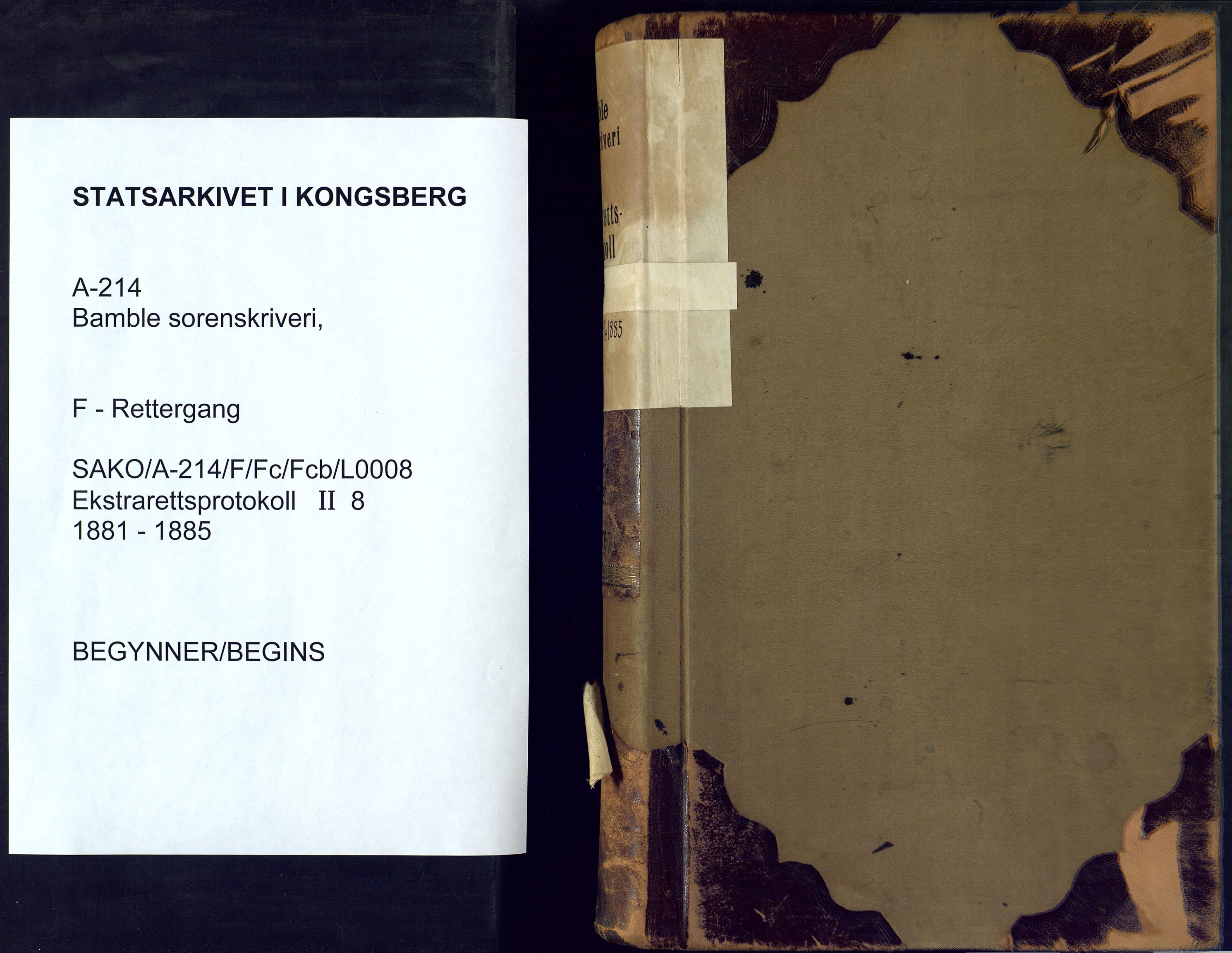Bamble sorenskriveri, SAKO/A-214/F/Fc/Fcb/L0008: Ekstrarettprotokoll, 1881-1885