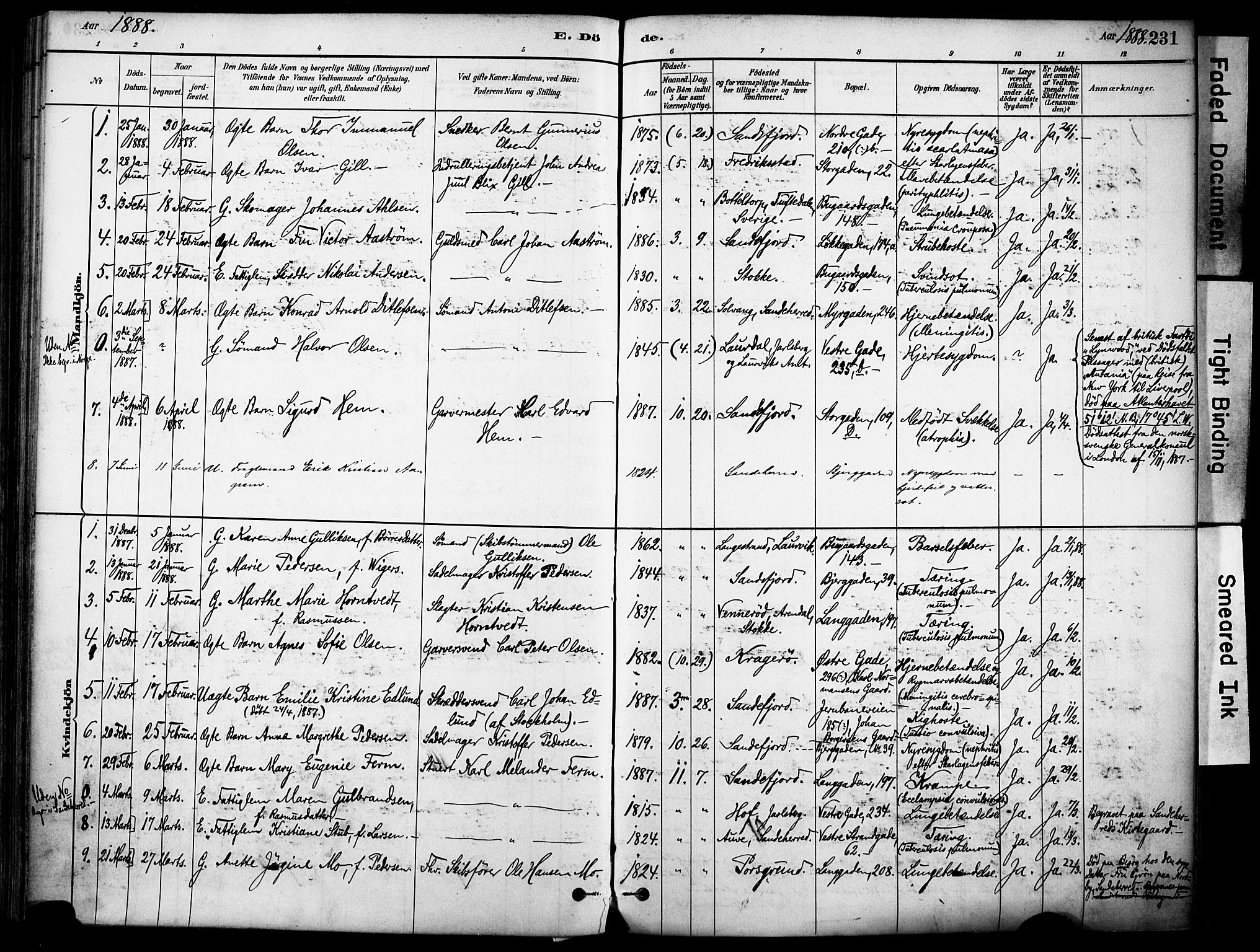 Sandefjord kirkebøker, AV/SAKO-A-315/F/Fa/L0002: Ministerialbok nr. 2, 1880-1894, s. 231
