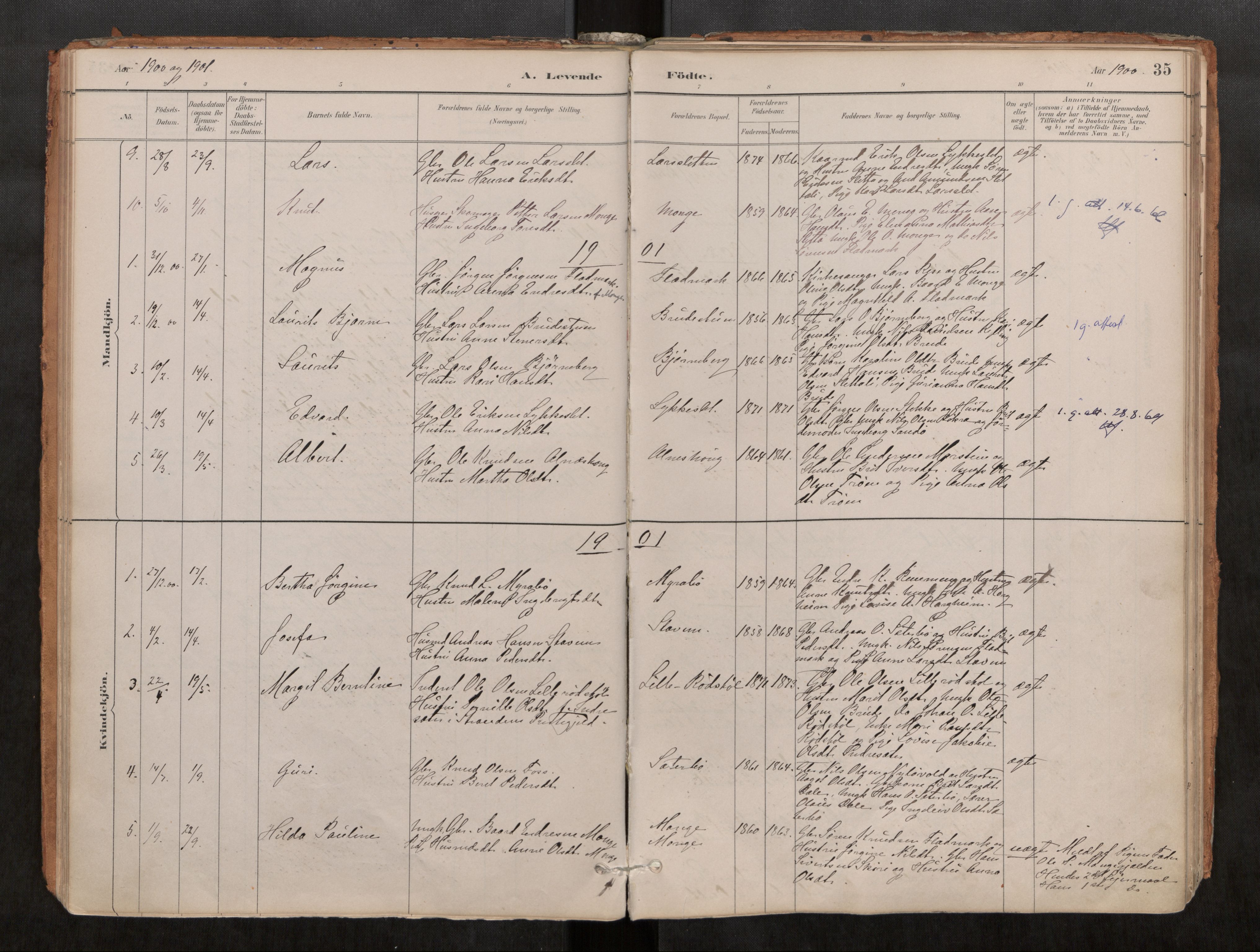 Ministerialprotokoller, klokkerbøker og fødselsregistre - Møre og Romsdal, AV/SAT-A-1454/546/L0599: Ministerialbok nr. 546A03, 1882-1920, s. 35