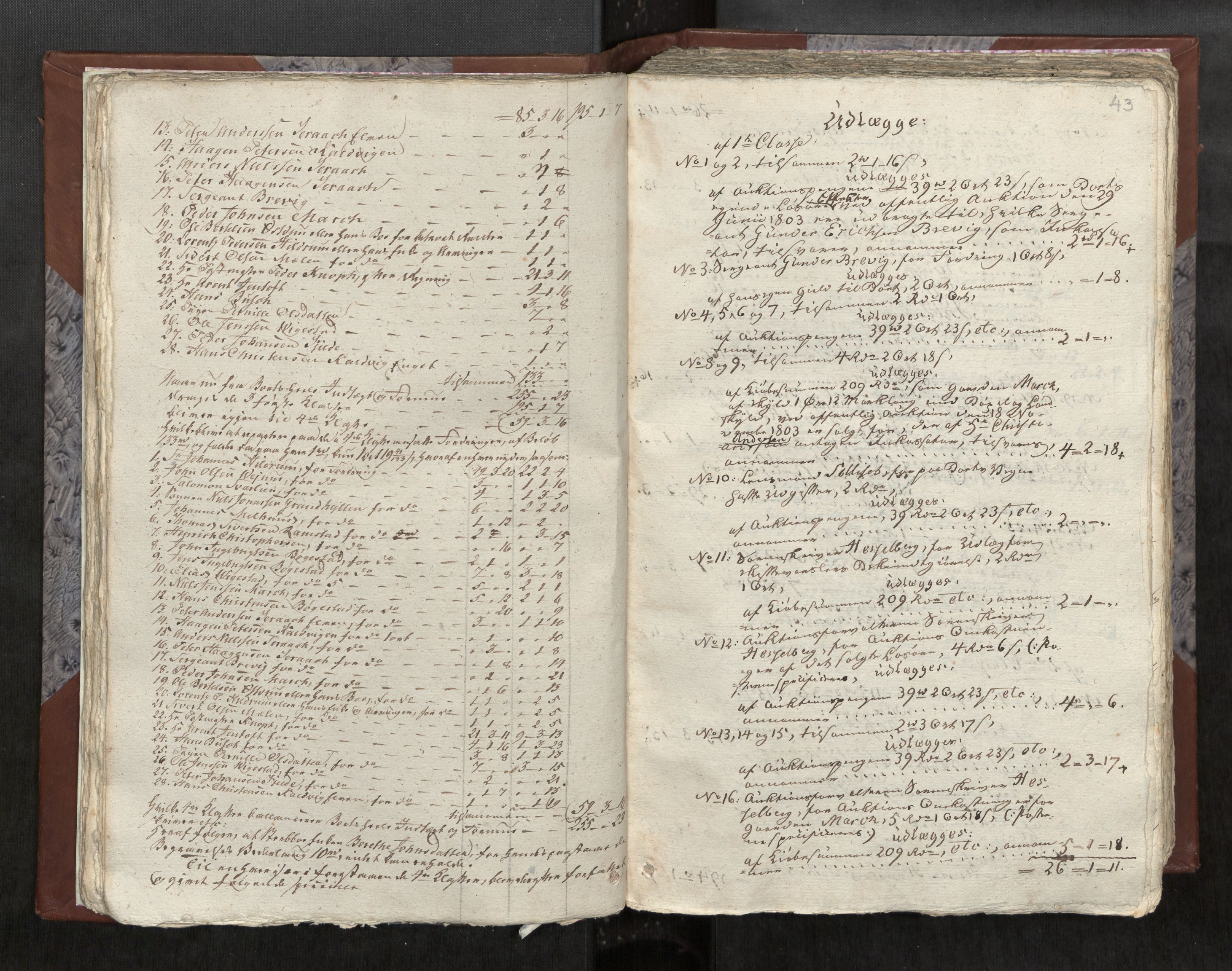 Namdal sorenskriveri, AV/SAT-A-4133/1/3/3A/L0033: Skifteprotokoll nr. 23, 1805, s. 43