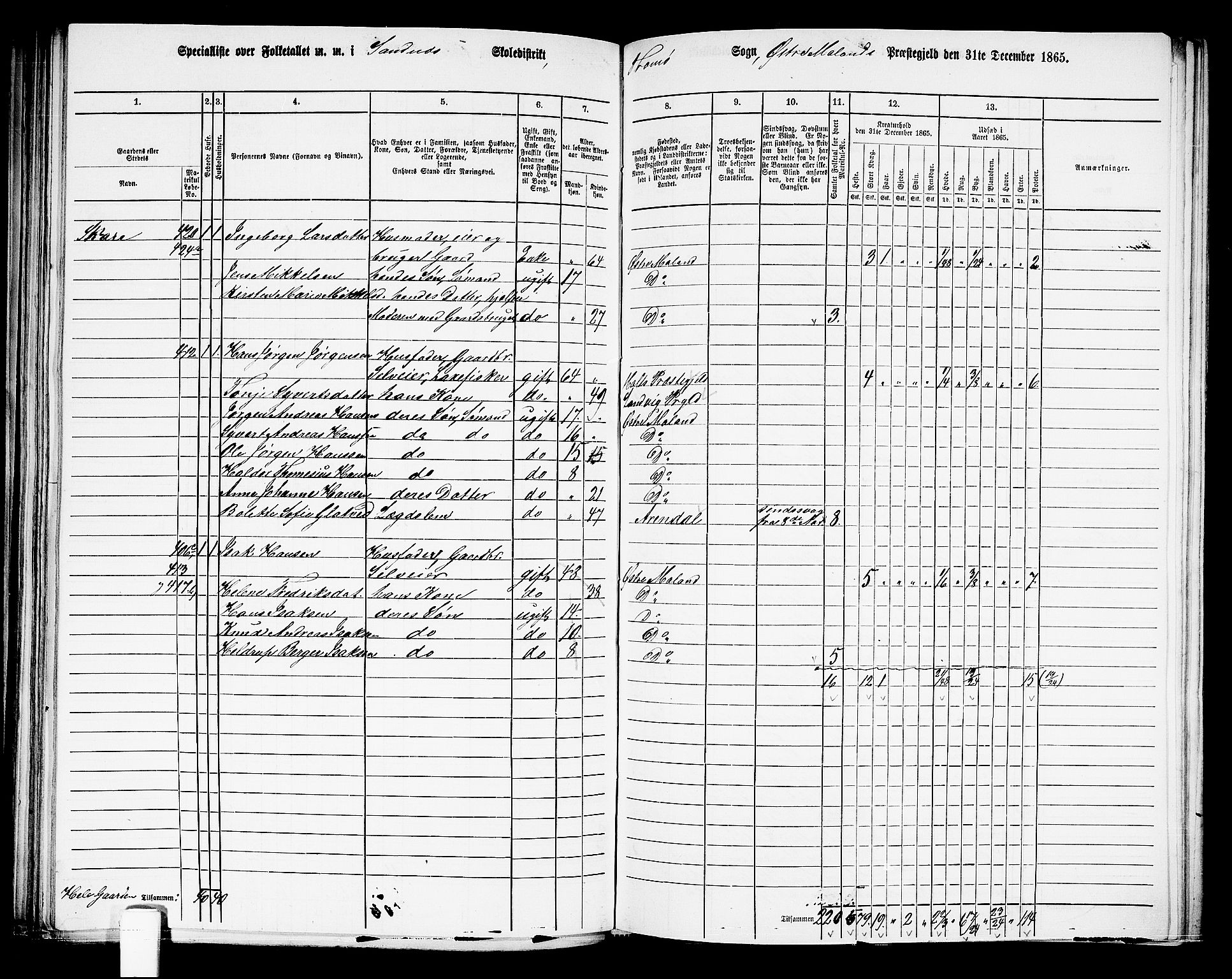 RA, Folketelling 1865 for 0918P Austre Moland prestegjeld, 1865, s. 198