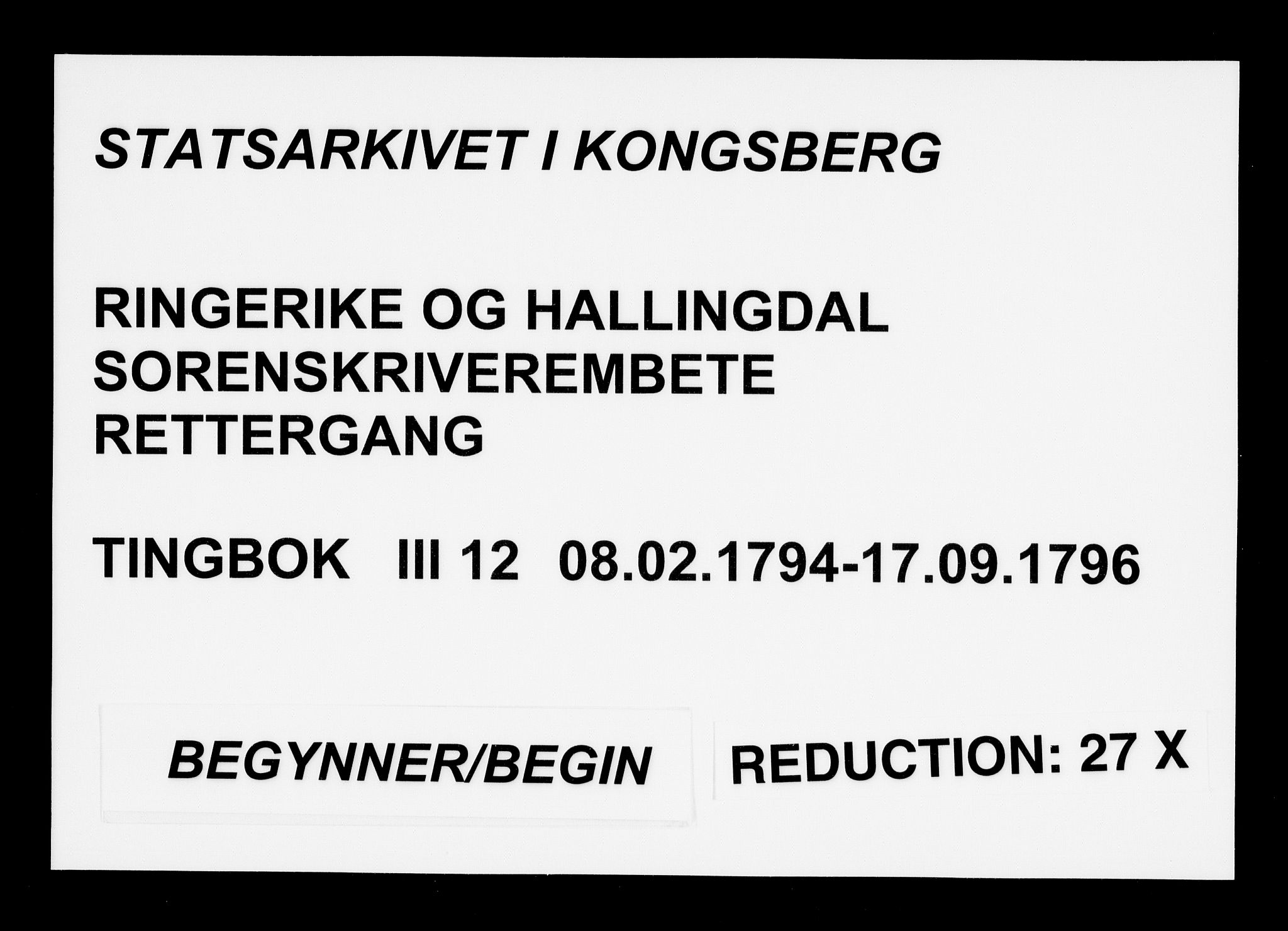 Ringerike og Hallingdal sorenskriveri, AV/SAKO-A-81/F/Fa/Fac/L0012: Tingbok - Ringerike, 1794-1796