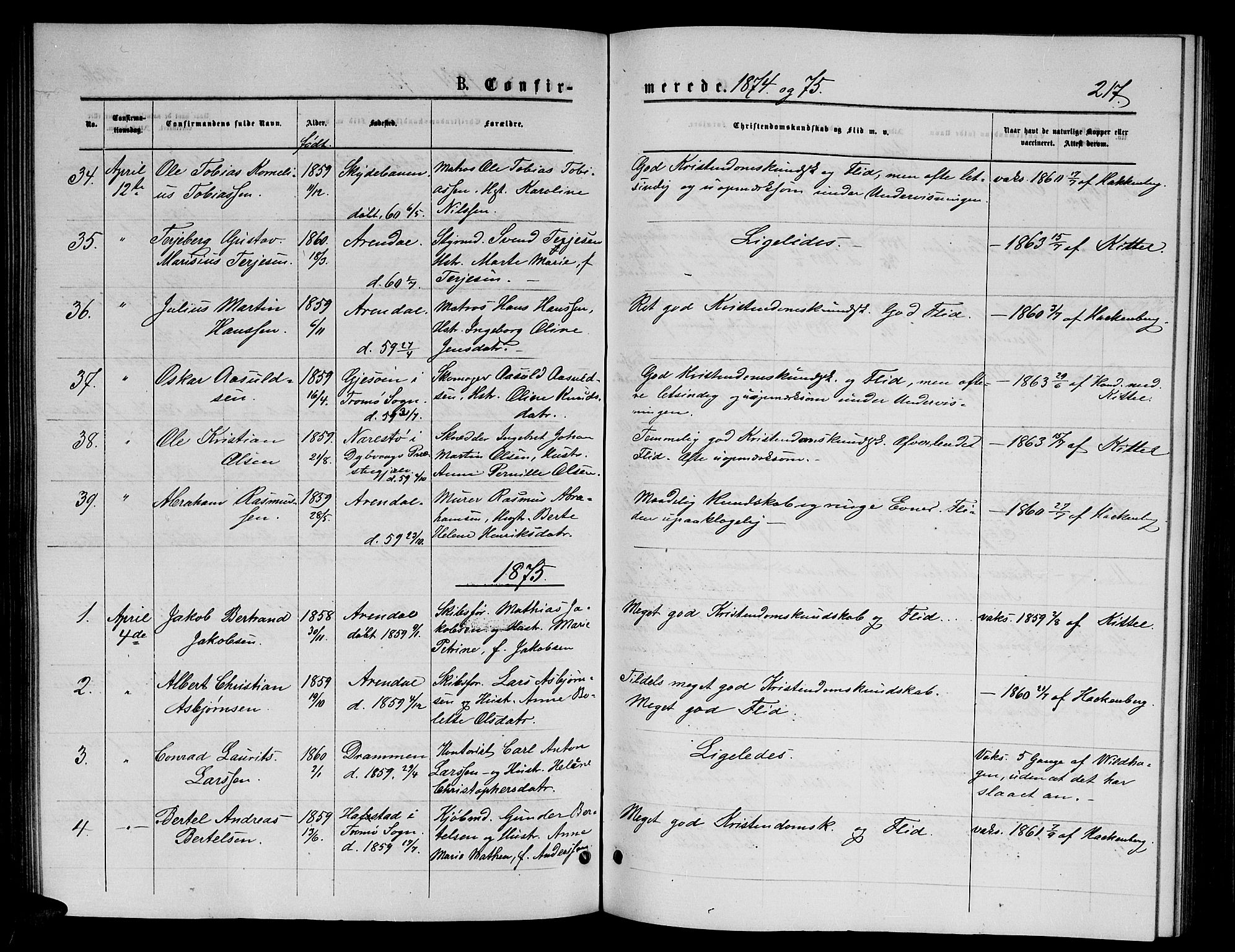 Arendal sokneprestkontor, Trefoldighet, AV/SAK-1111-0040/F/Fb/L0005: Klokkerbok nr. B 5, 1874-1888, s. 217