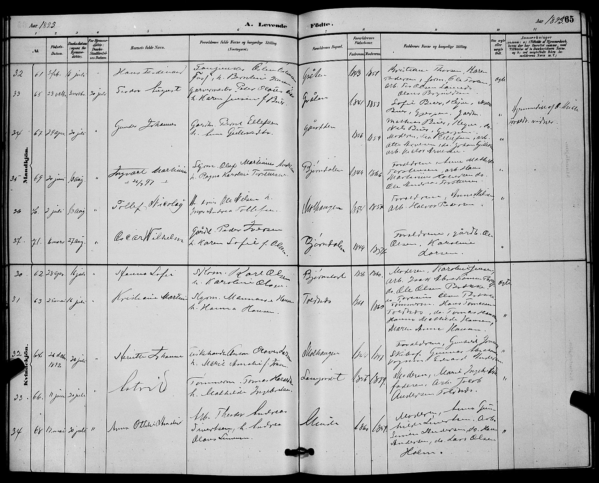Solum kirkebøker, AV/SAKO-A-306/G/Ga/L0007: Klokkerbok nr. I 7, 1884-1898, s. 65