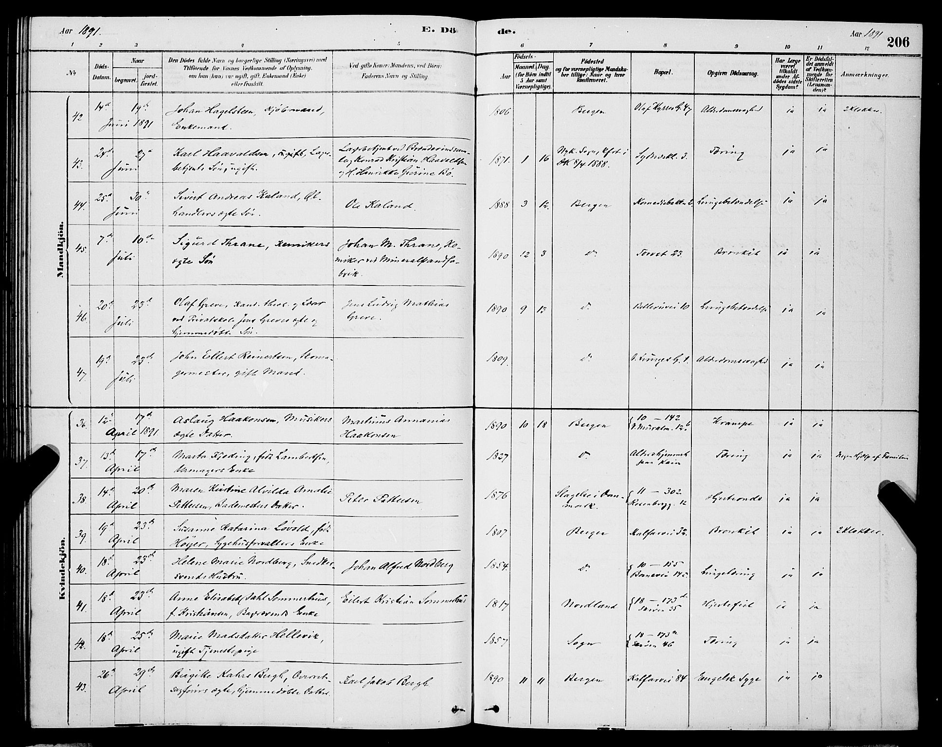 Domkirken sokneprestembete, AV/SAB-A-74801/H/Hab/L0041: Klokkerbok nr. E 5, 1878-1900, s. 206